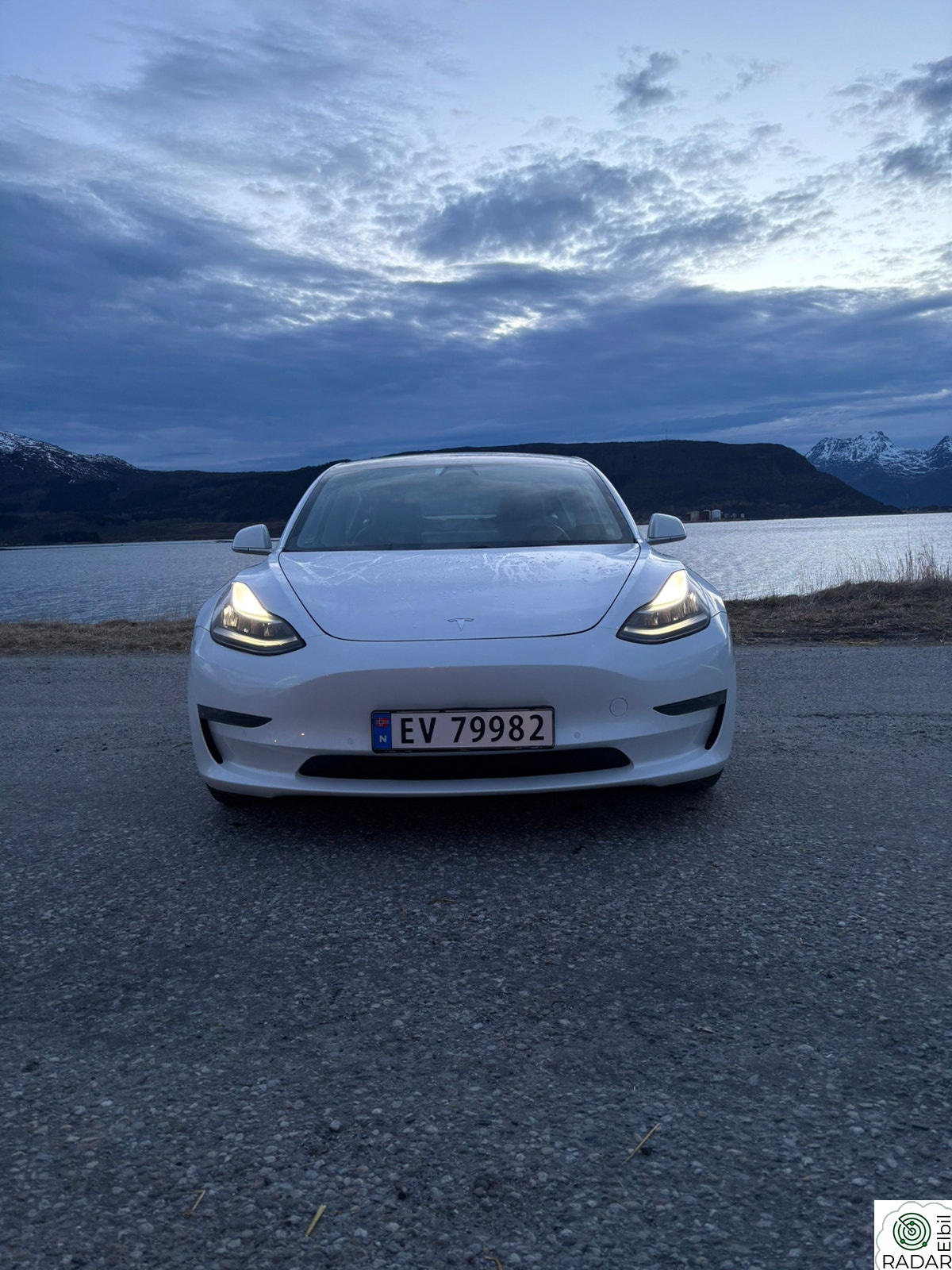TESLA Model 3 Long Range AWD