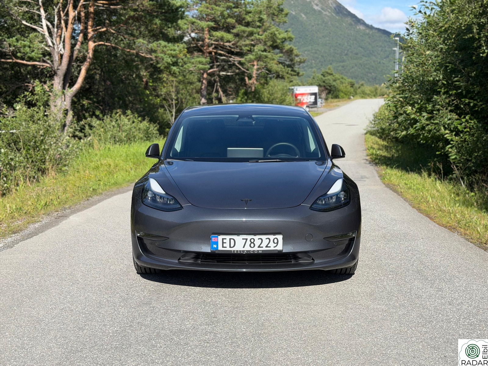 TESLA Model 3 Long Range AWD