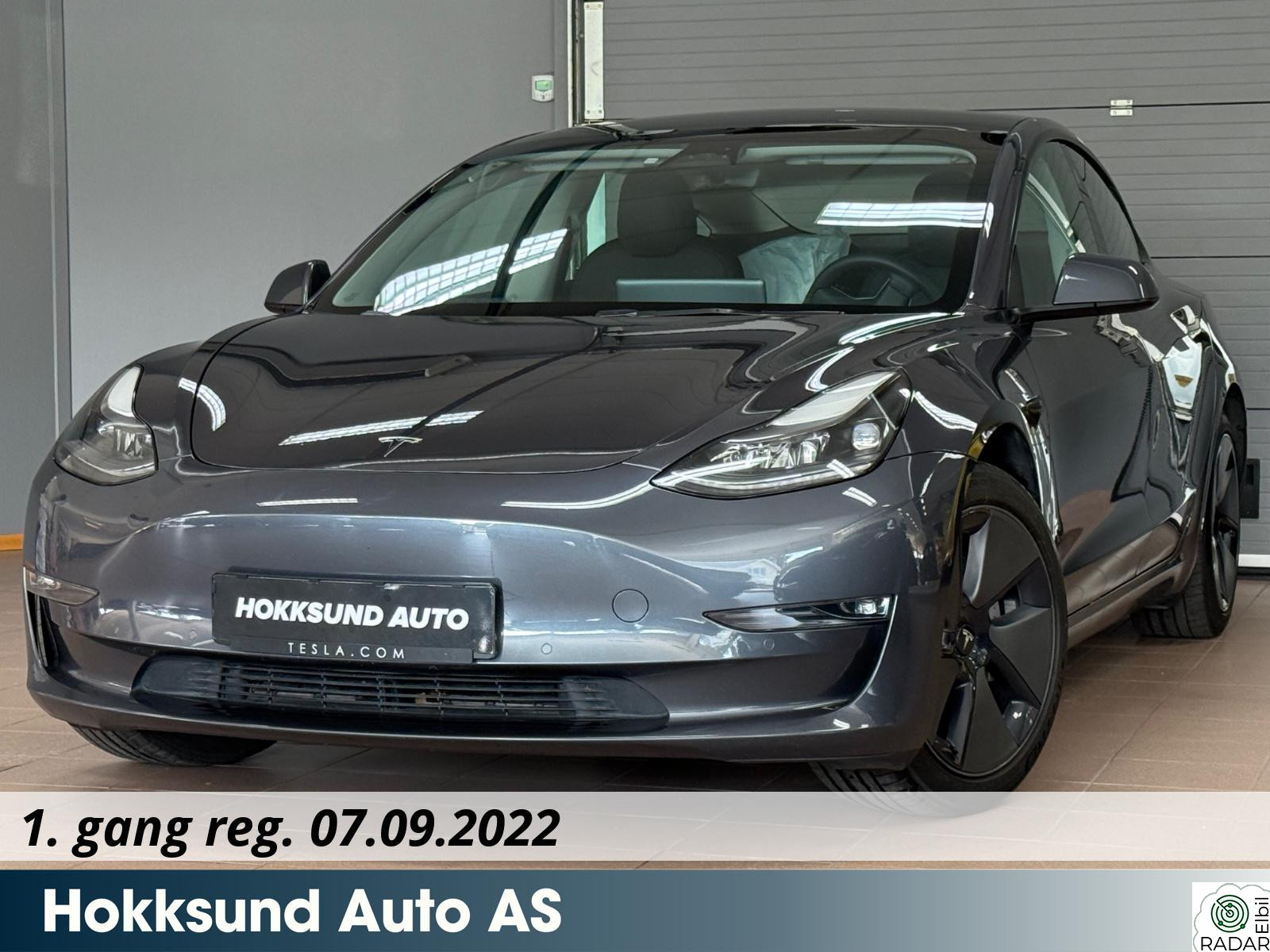 TESLA Model 3 Long range AWD 602KM /Autopilot / ACC / V.Pumpe / Ryzen