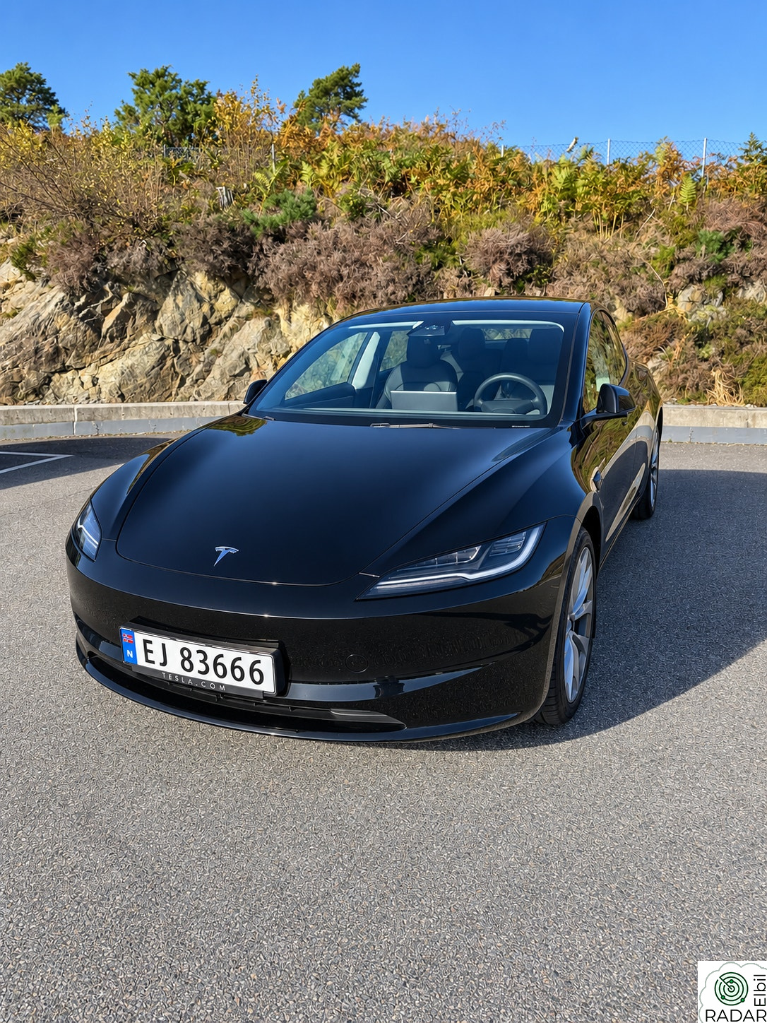TESLA Model 3 Long range RWD, 320hk