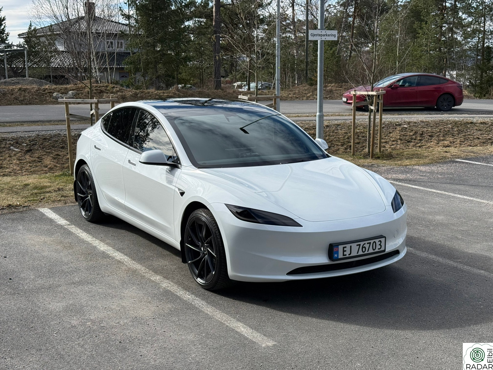 TESLA Model 3 RWD LR