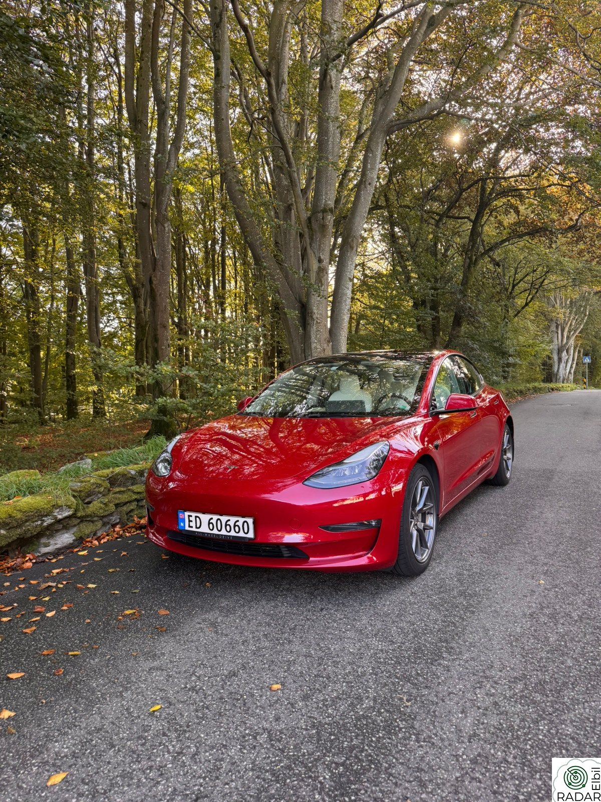 TESLA Model 3 Long Range AWD