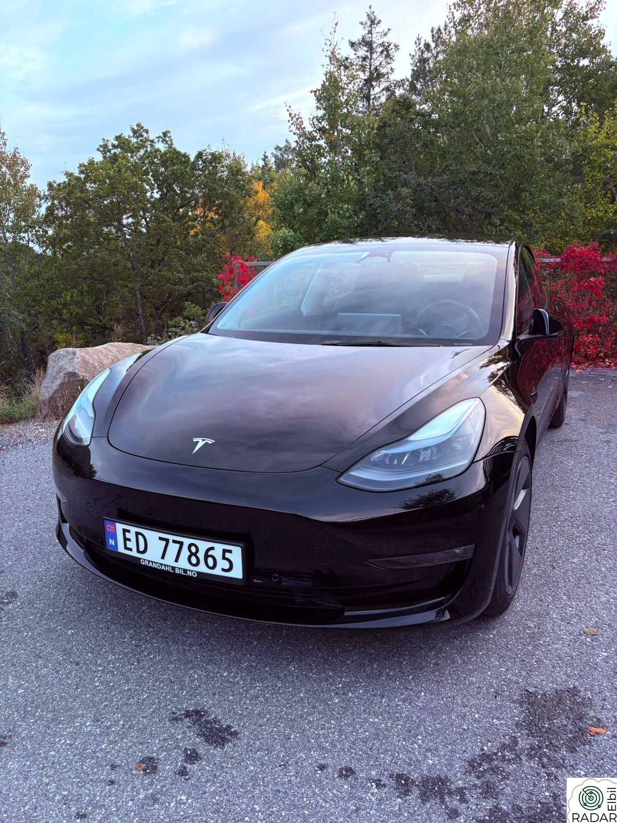 TESLA Model 3 Long Range AWD