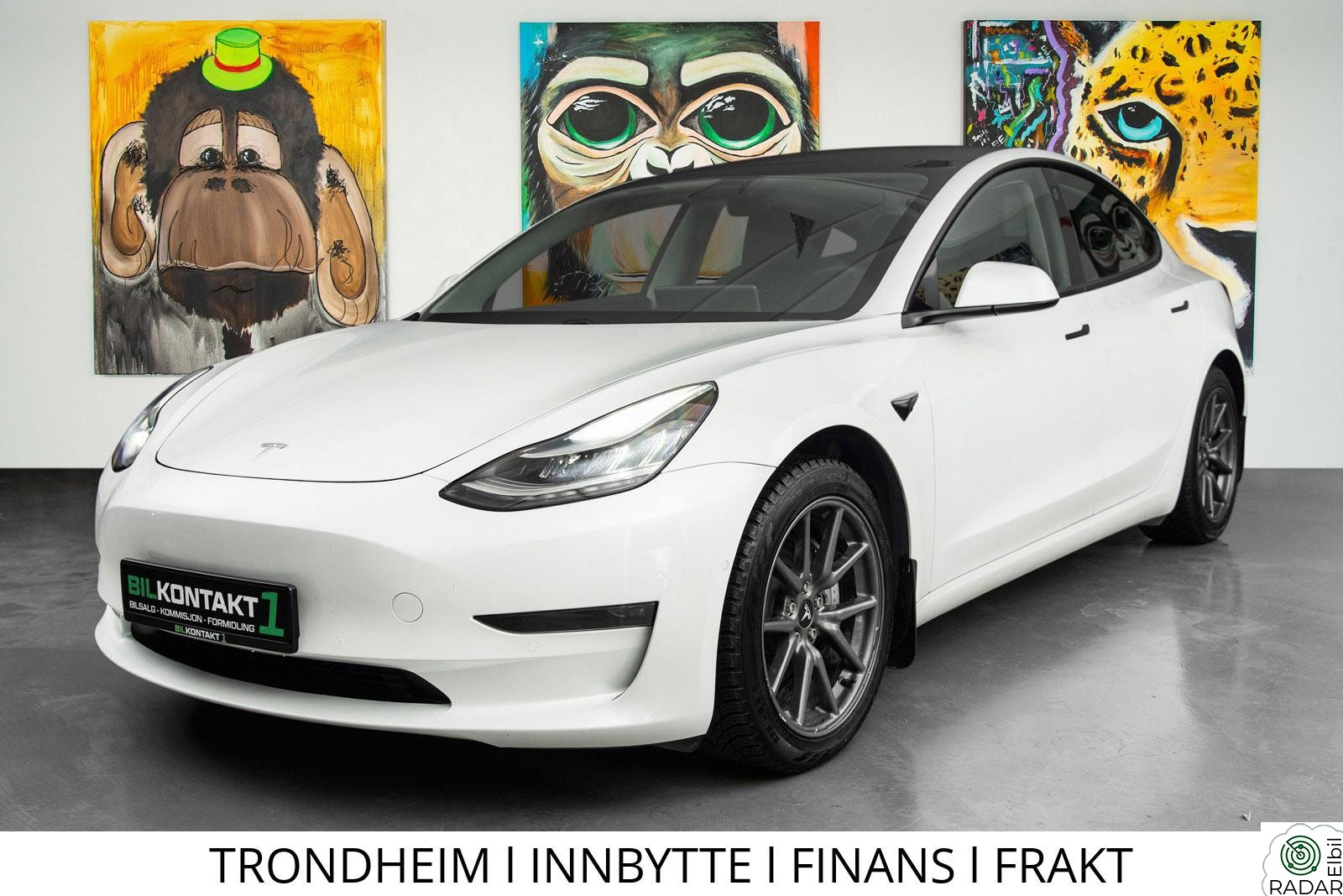 TESLA Model 3 SKINN l GARANTI l PREMIUM l VARMEPUMPE l ENHANCED AP