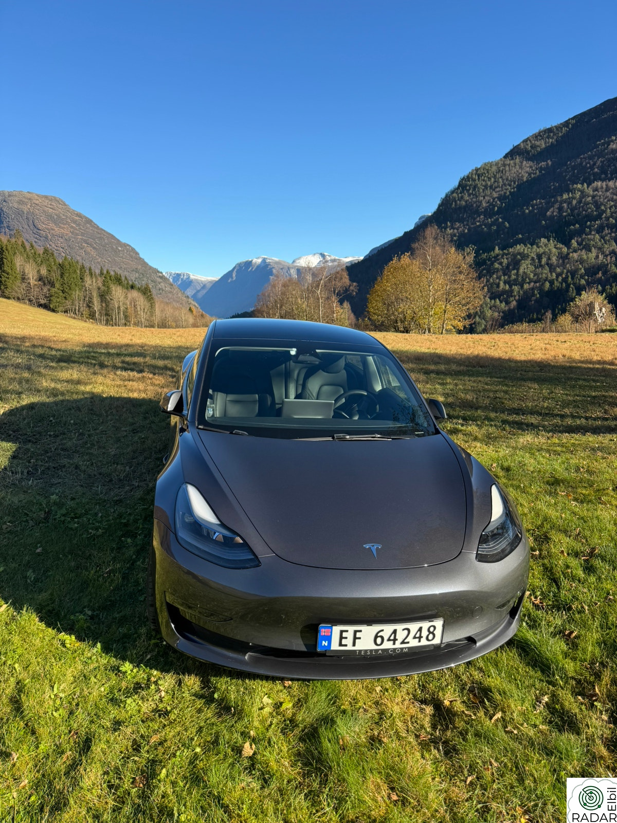 TESLA Model 3 Long Range AWD