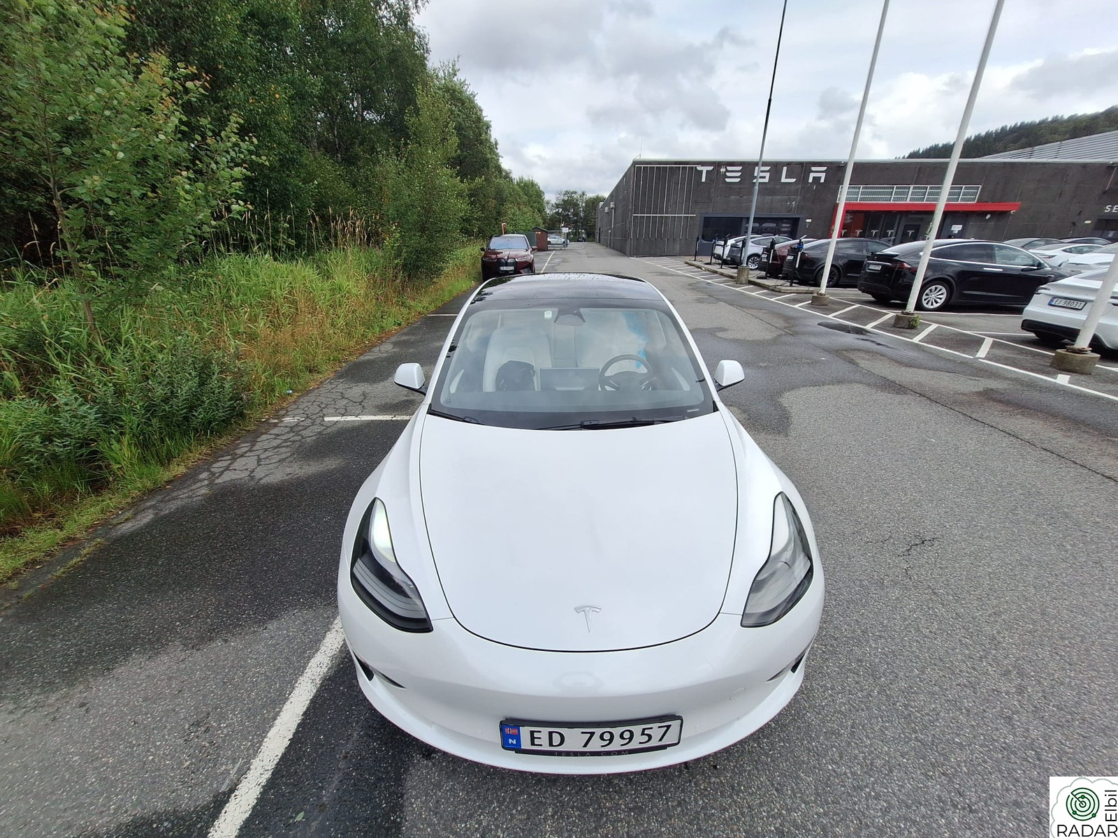TESLA Model 3 Long Range AWD