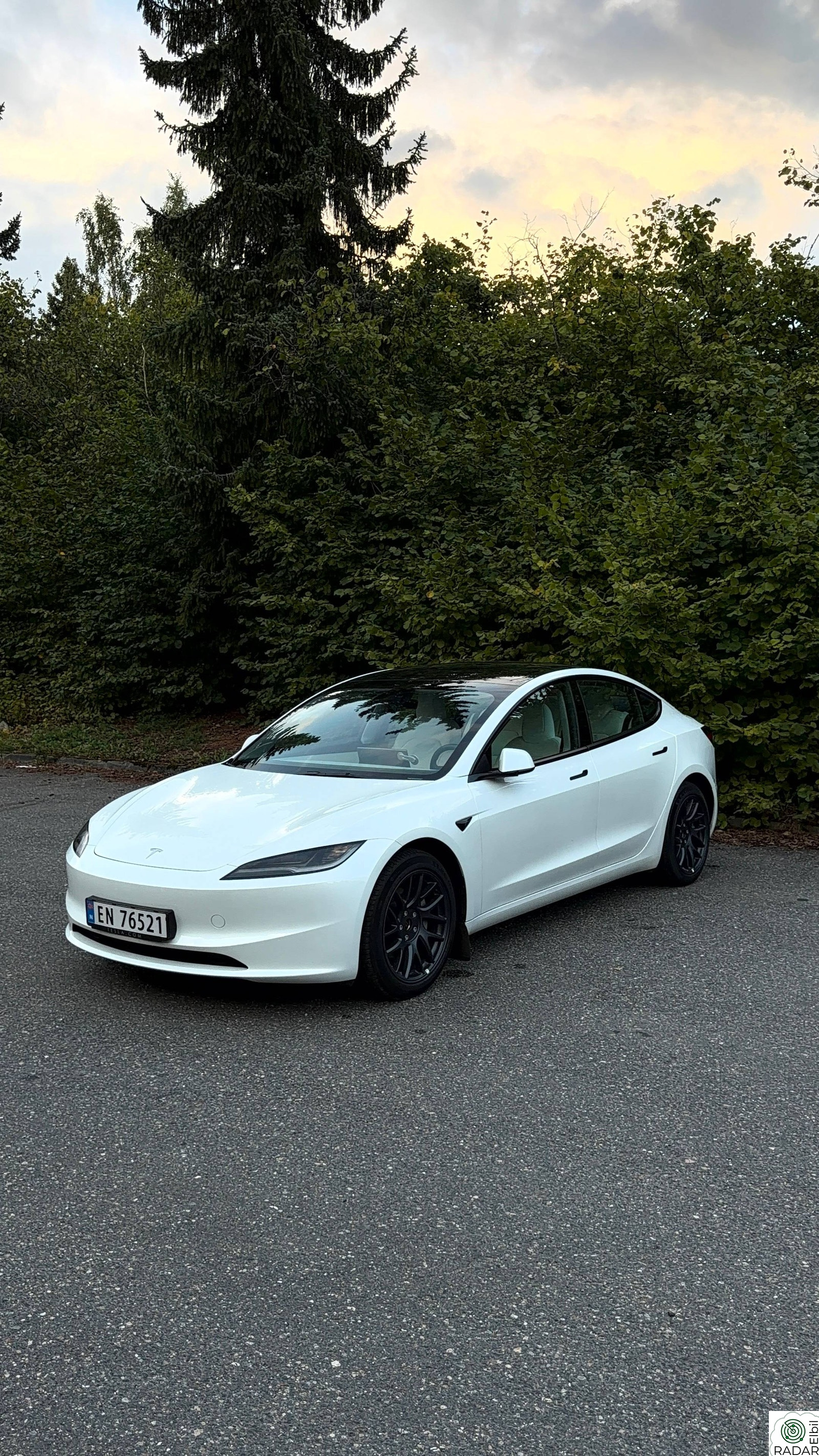TESLA Model 3 Tesla Model 3 Long Range 4x4