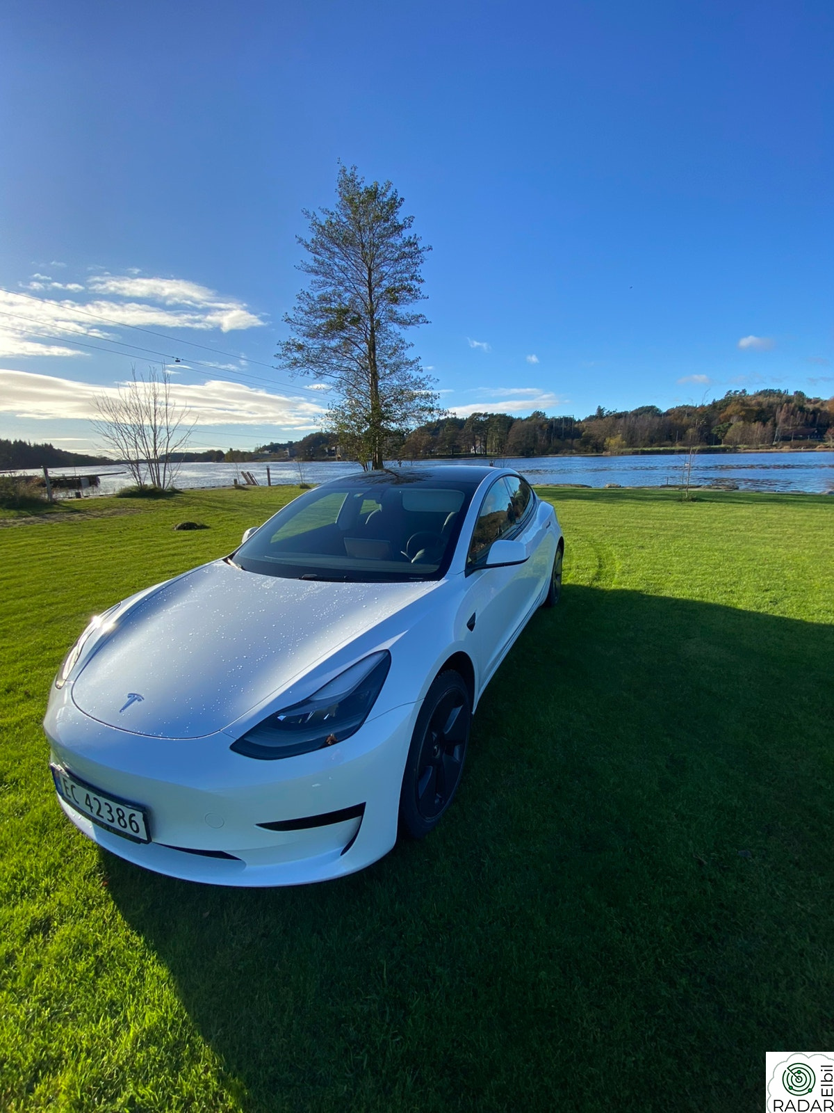 TESLA Model 3 Standard Range Plus RWD