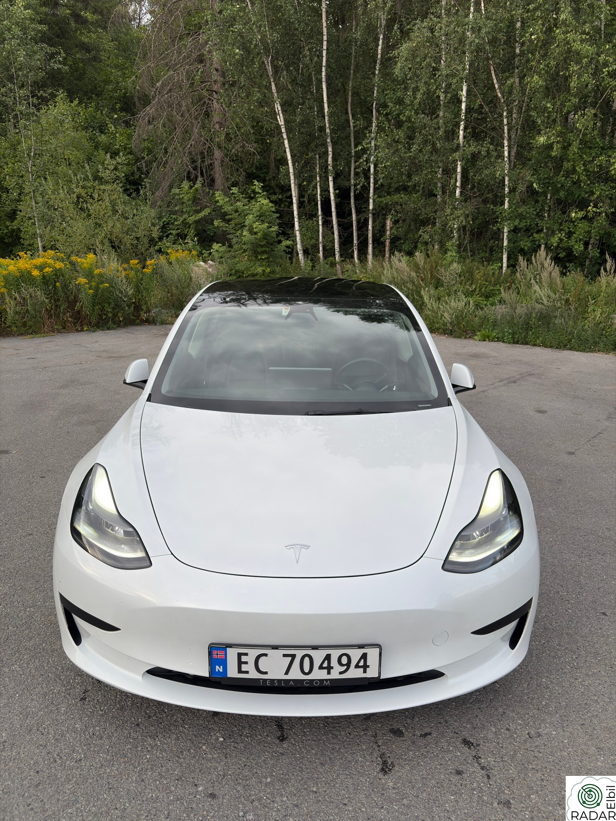 TESLA Model 3 Standard Range Plus RWD