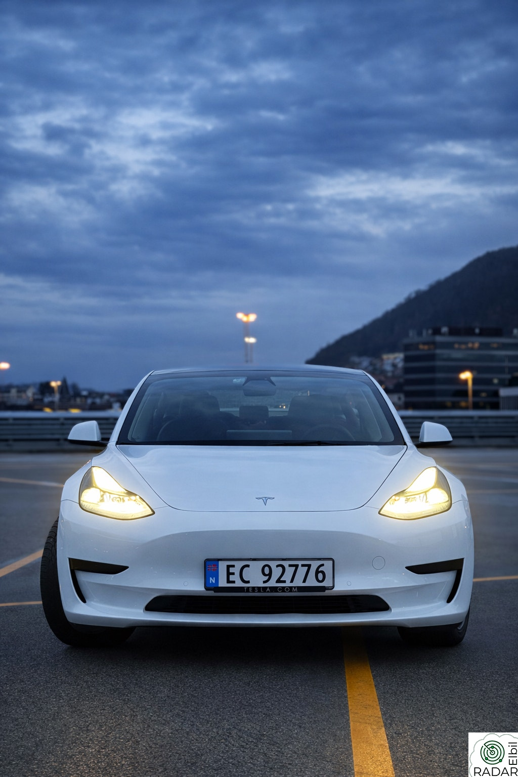 TESLA Model 3 Standard Range Plus RWD