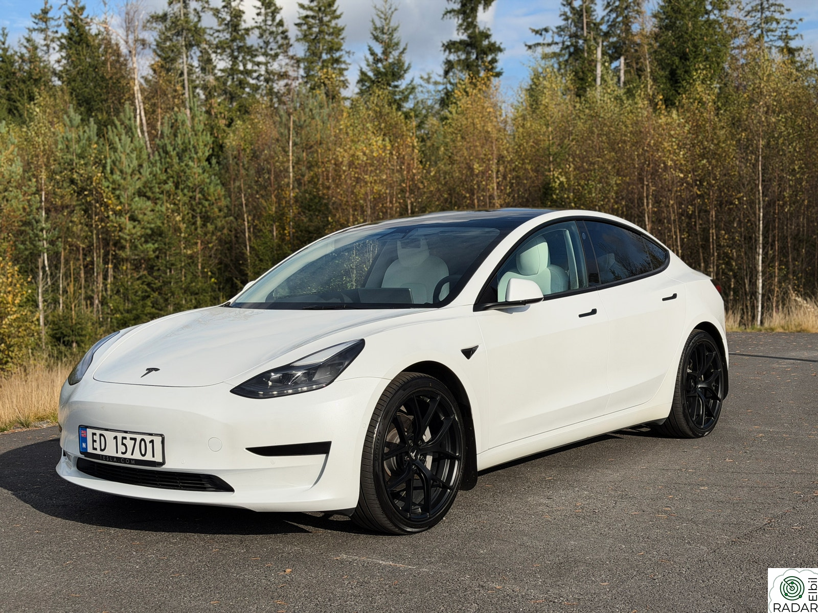 TESLA Model 3 Standard Range Plus RWD