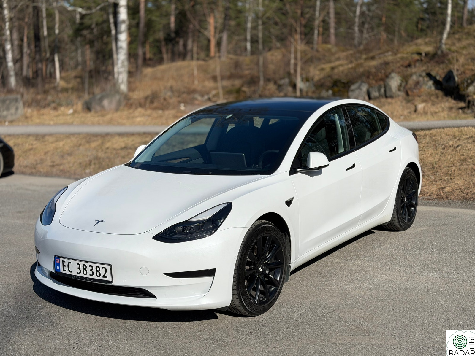 TESLA Model 3 Standard Range Plus RWD