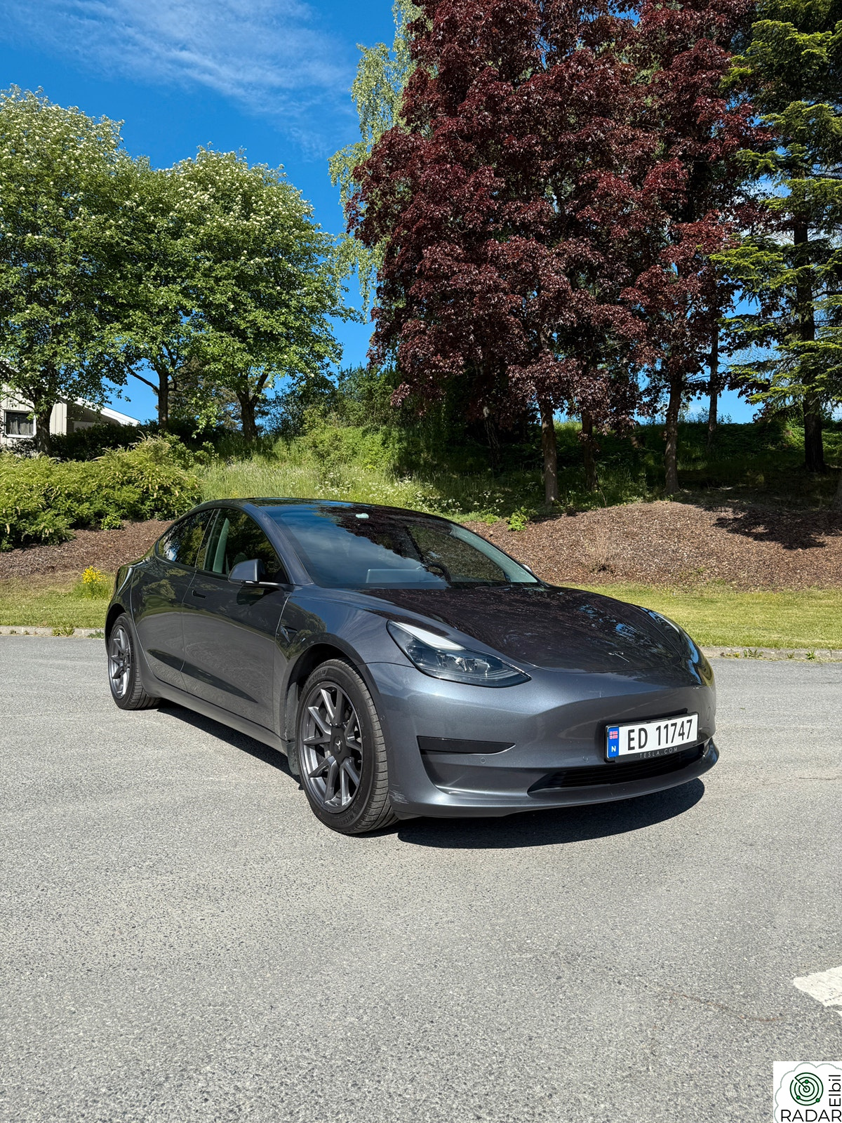 TESLA Model 3 Standard Range Plus RWD