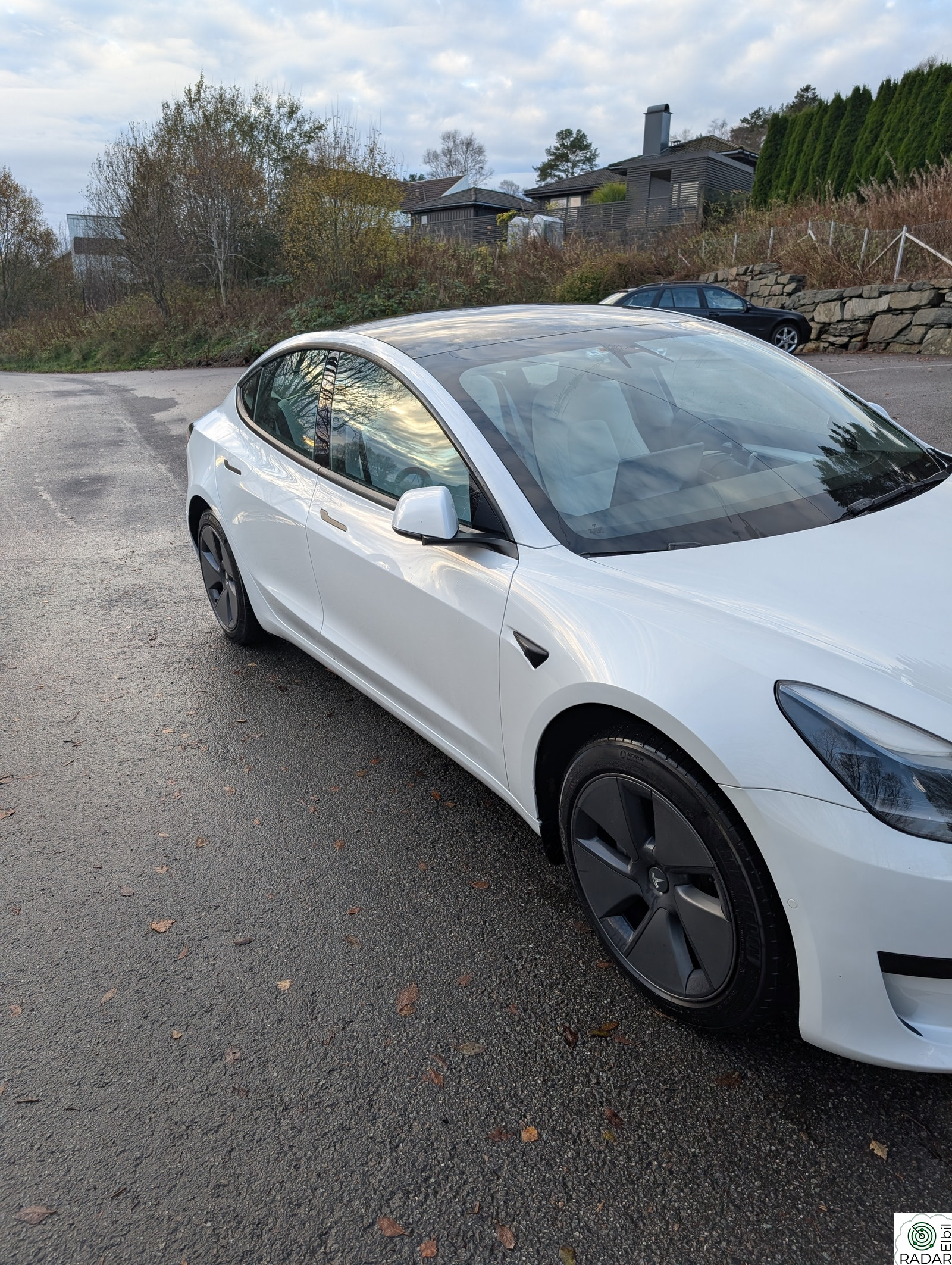 TESLA Model 3 Standard Range Plus RWD