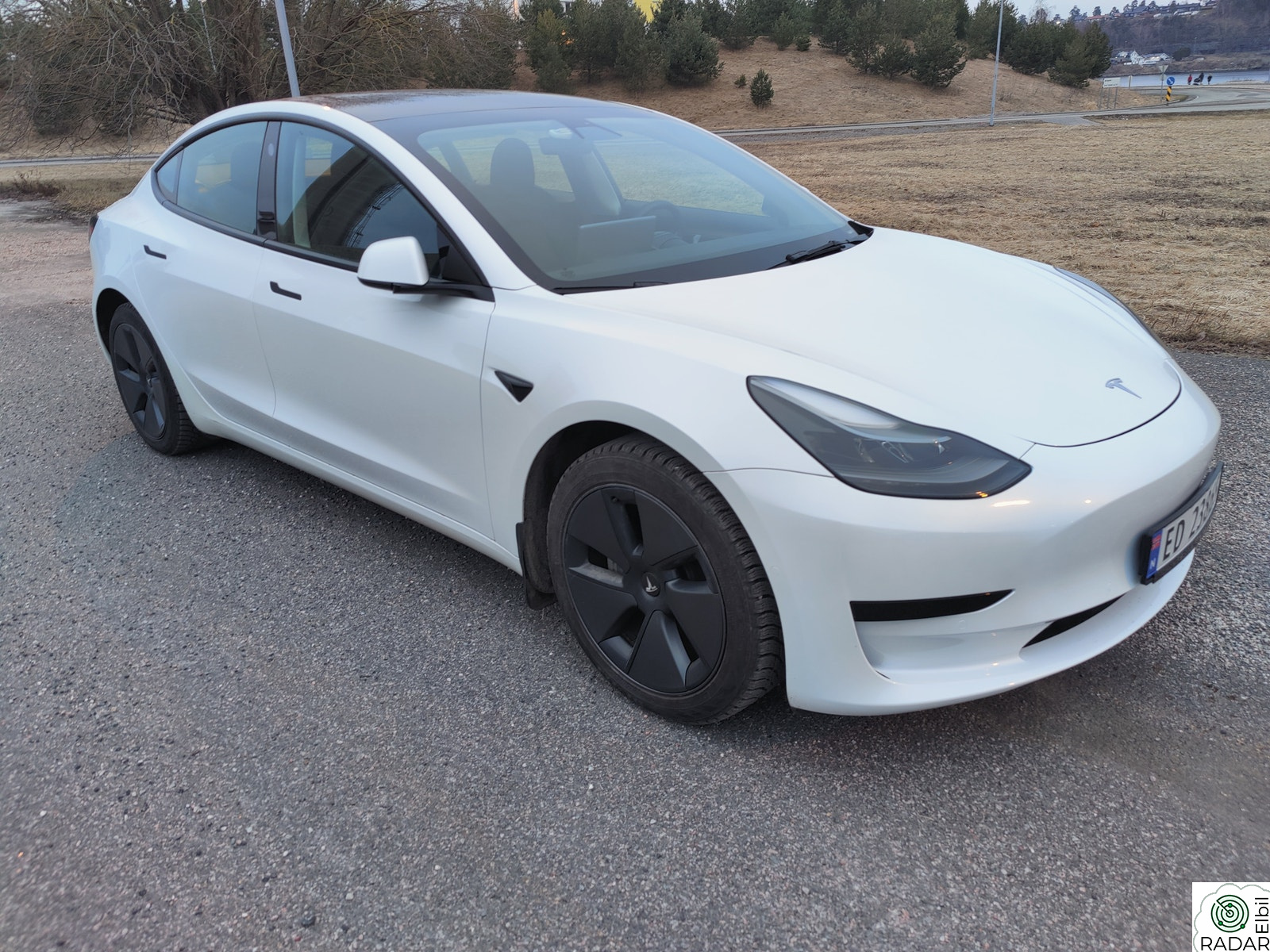 TESLA Model 3 Standard Range Plus RWD