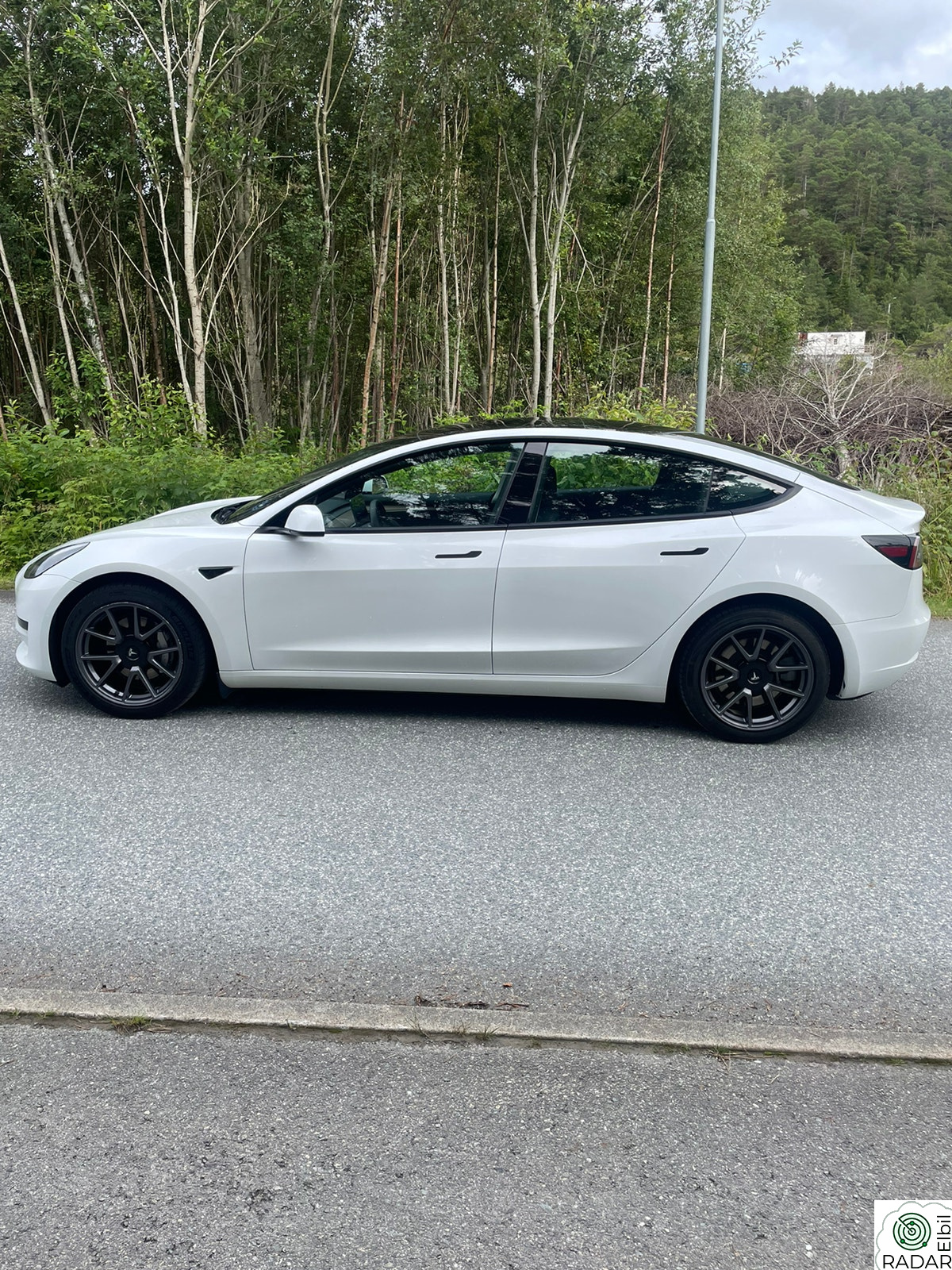 TESLA Model 3 Standard Range Plus RWD