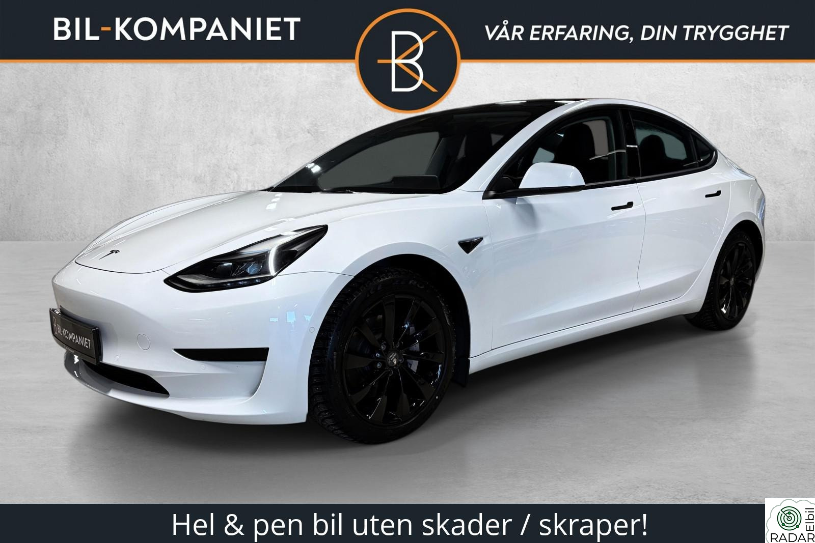 TESLA Model 3 Standard Range + RWD | Skinn | Panorama | EU 06/27