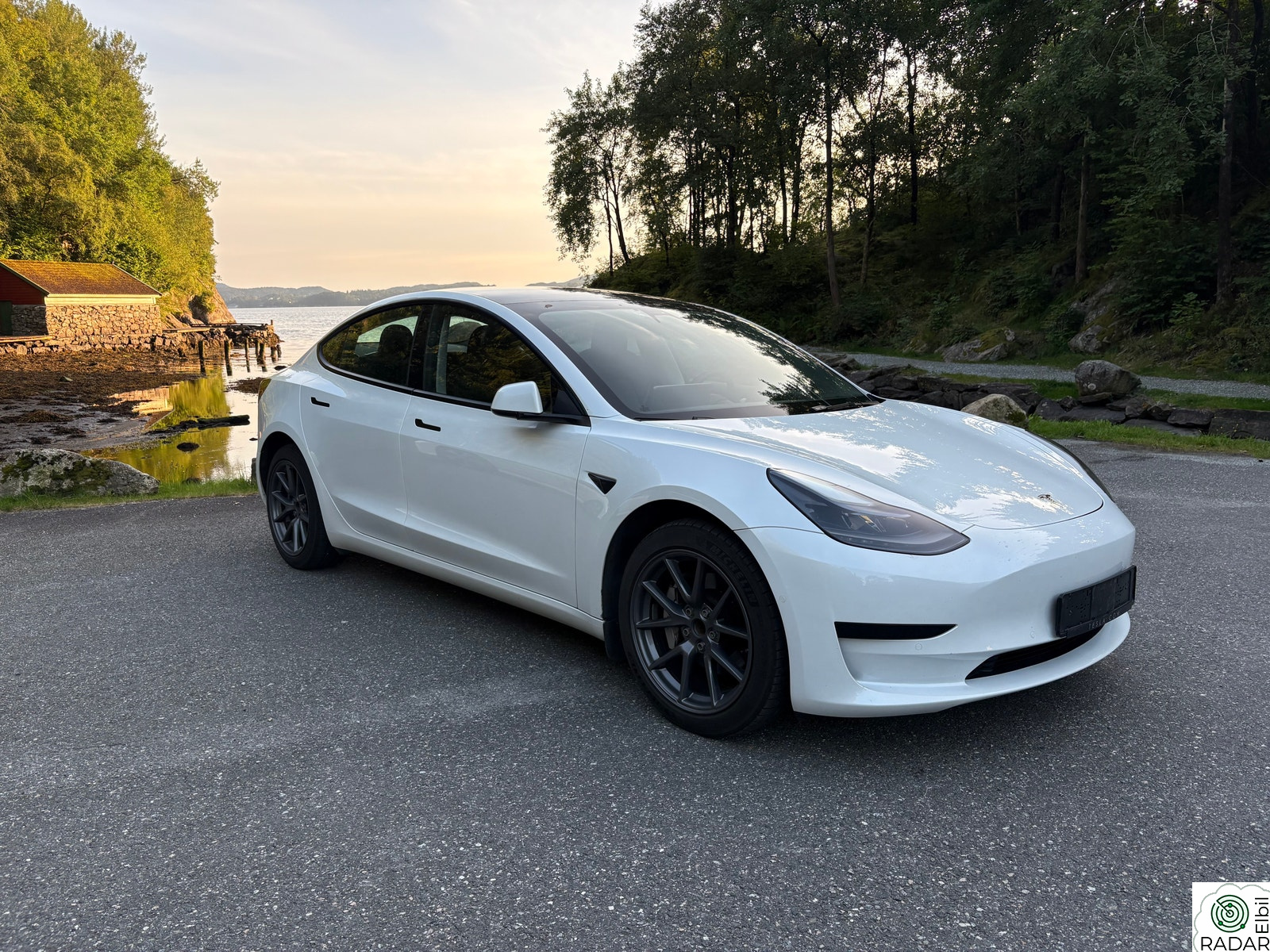 TESLA Model 3 Standard Range Plus RWD