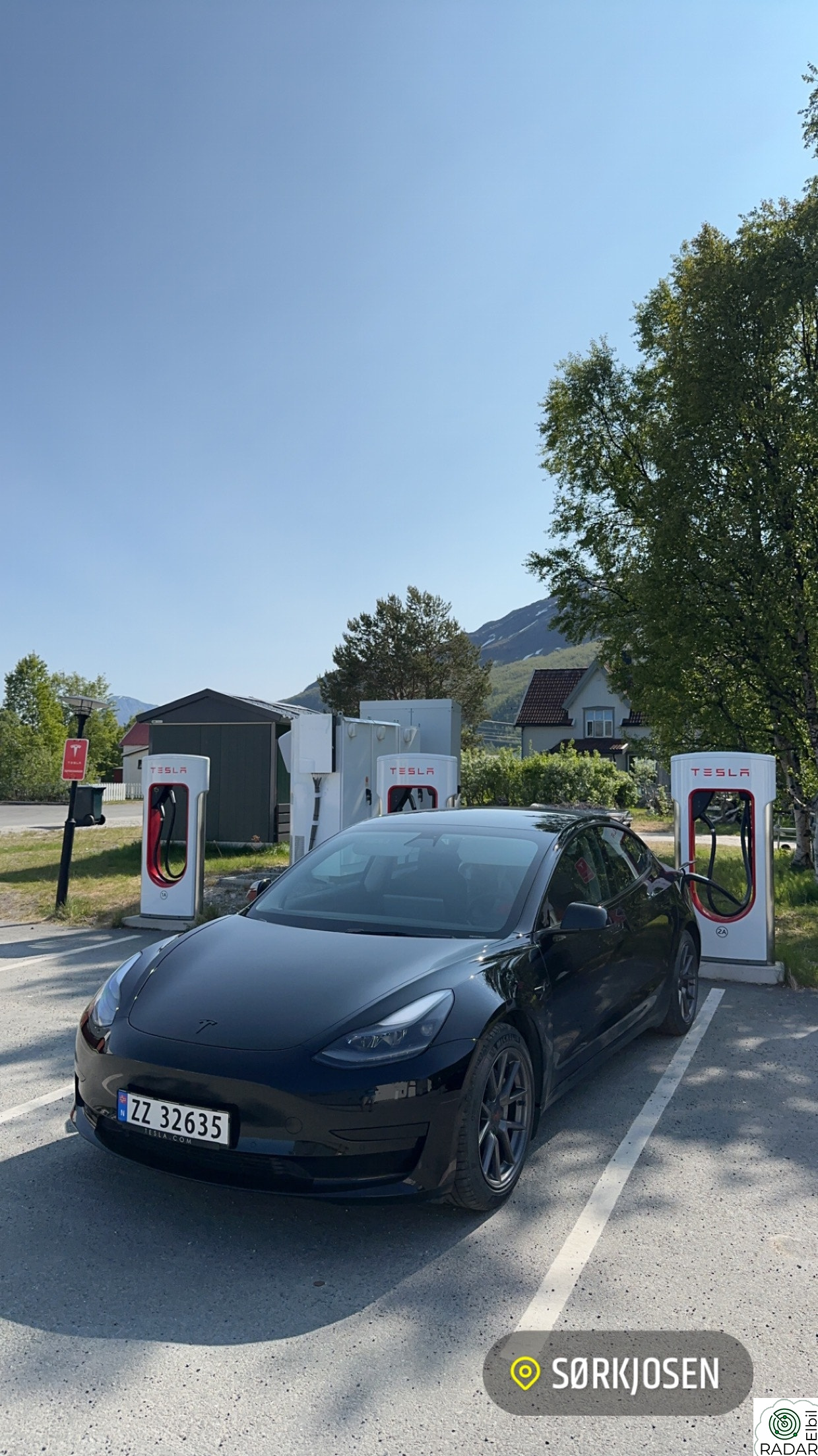 TESLA Model 3 Standard Range Plus RWD