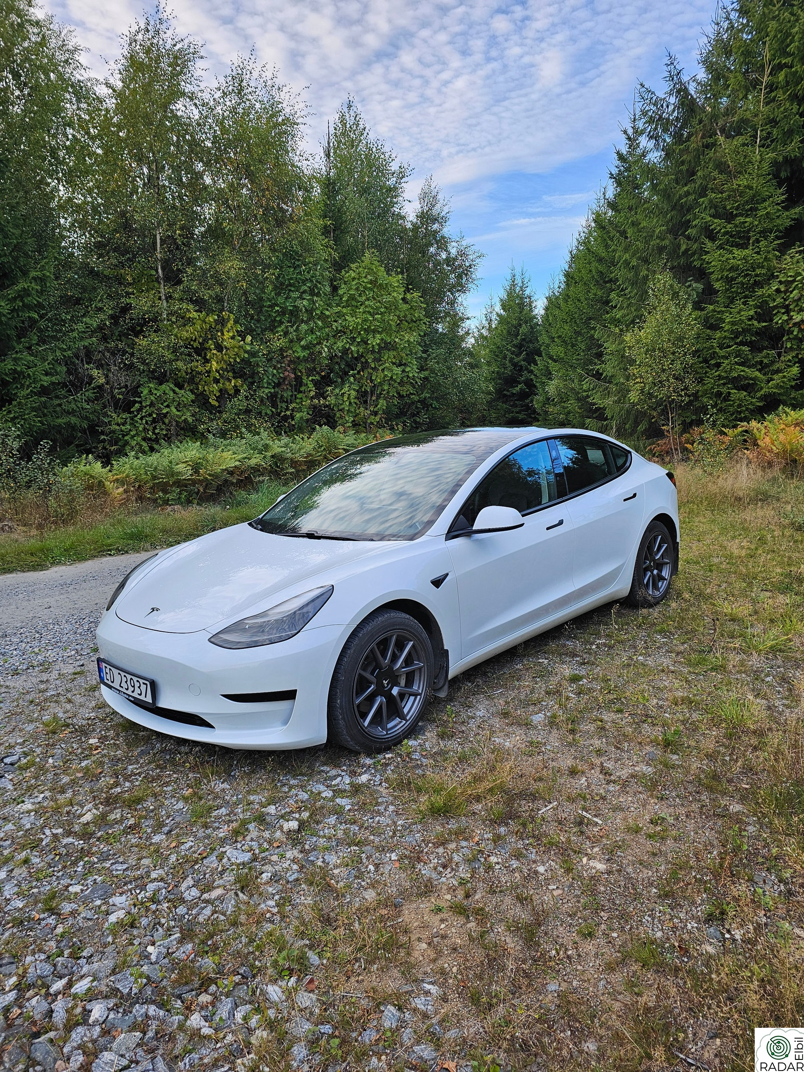 TESLA Model 3 Standard Range Plus RWD