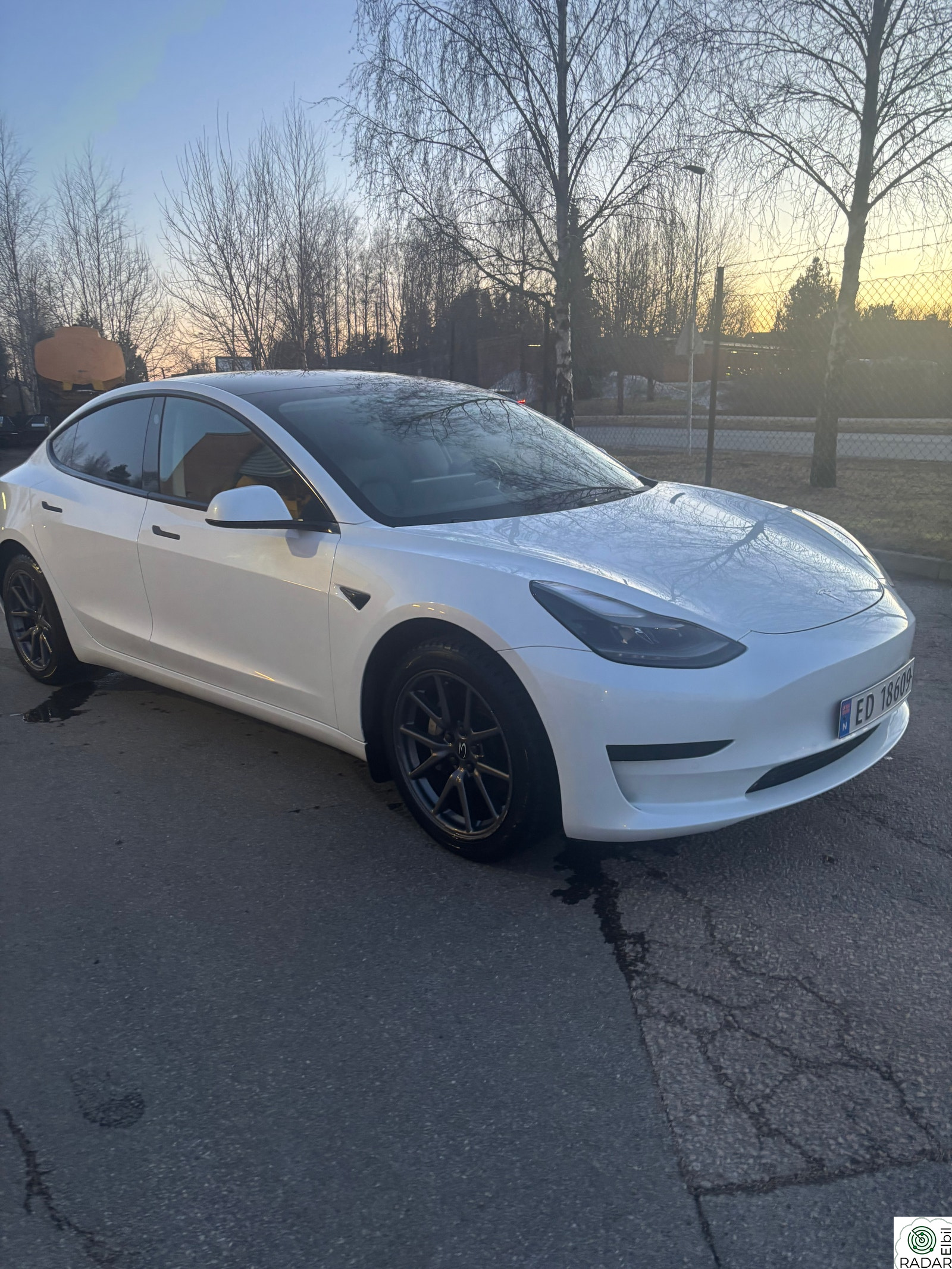 TESLA Model 3 Standard Range Plus RWD