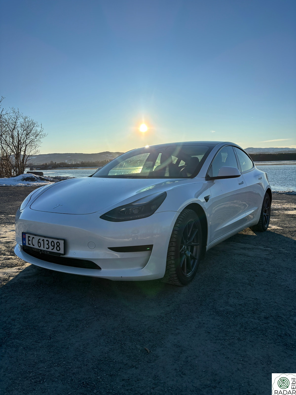 TESLA Model 3 Standard Range Plus, Ein eier. Skinn, AP, hengerfeste