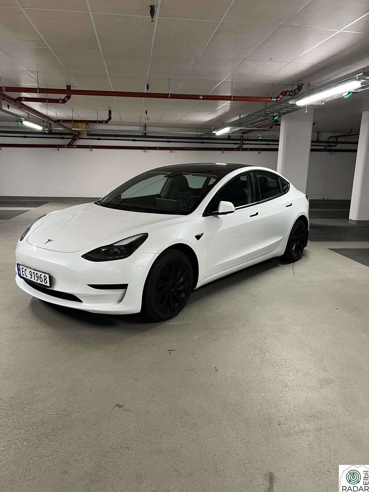 TESLA Model 3 Standard Range Plus RWD