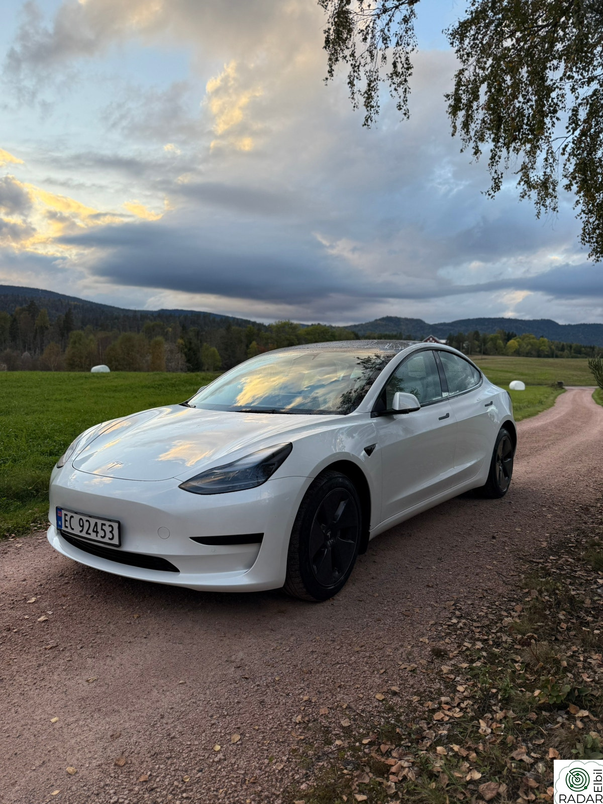 TESLA Model 3 Standard Range Plus RWD