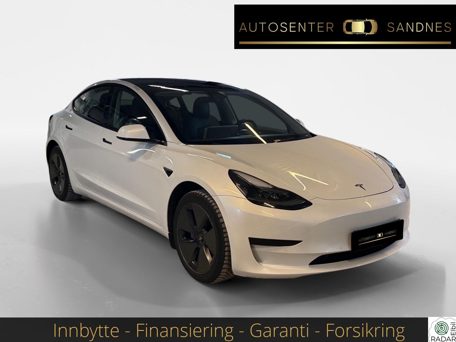 TESLA Model 3 Standard Range Plus/ Skinn/ Autopilot/ R.Kamera/ Navi