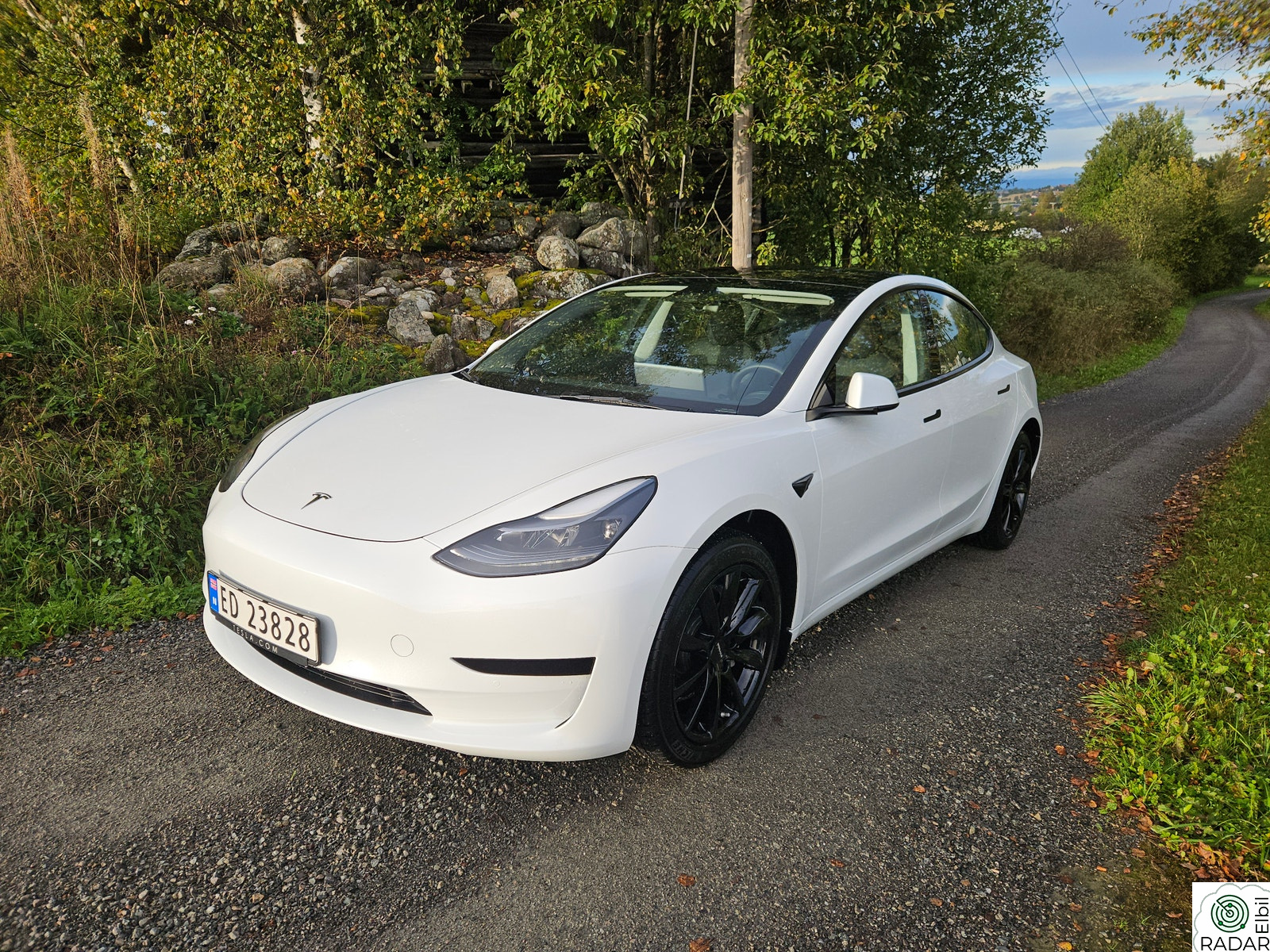 TESLA Model 3 Standard Range Plus RWD