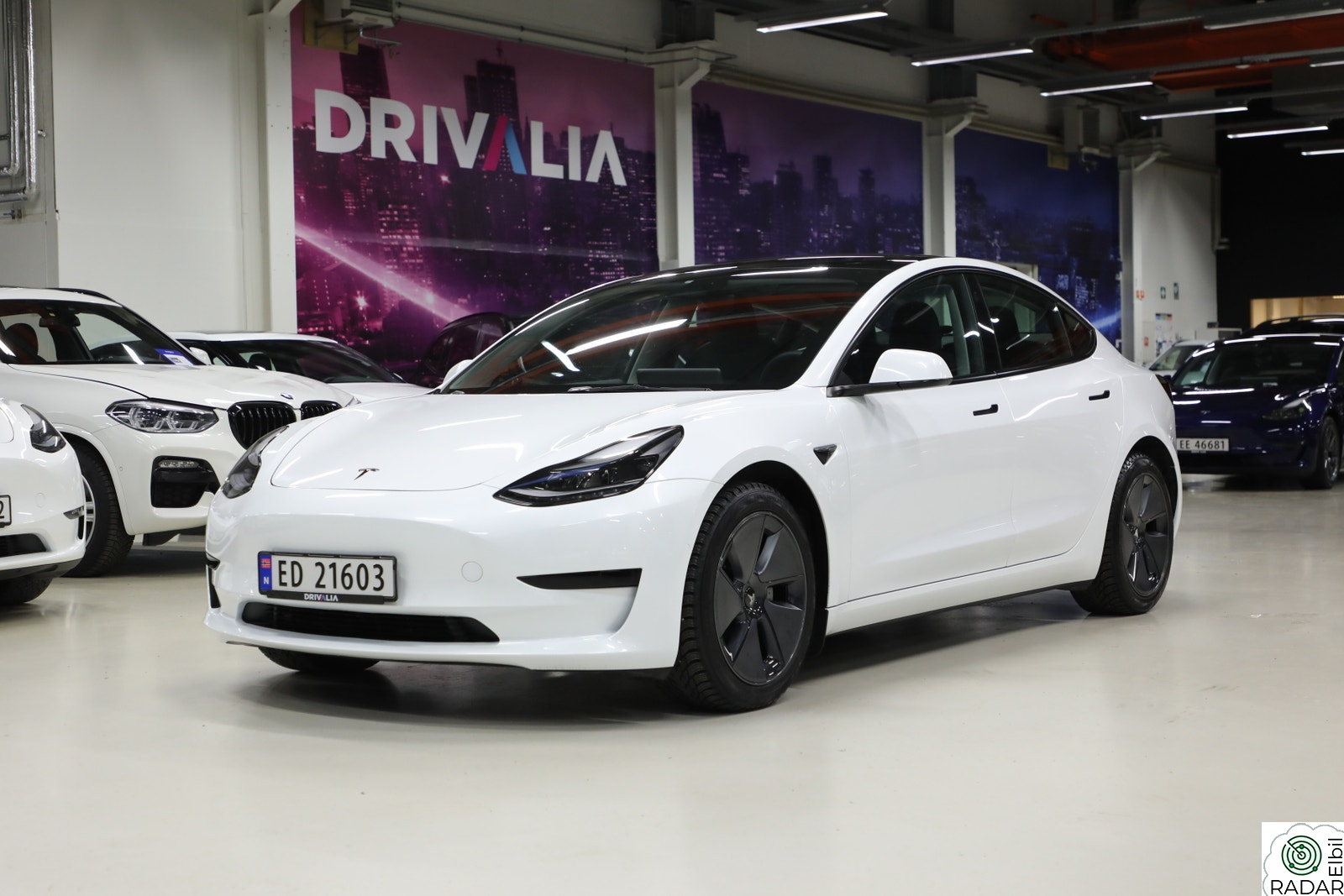 TESLA Model 3 Standard Range Plus RWD