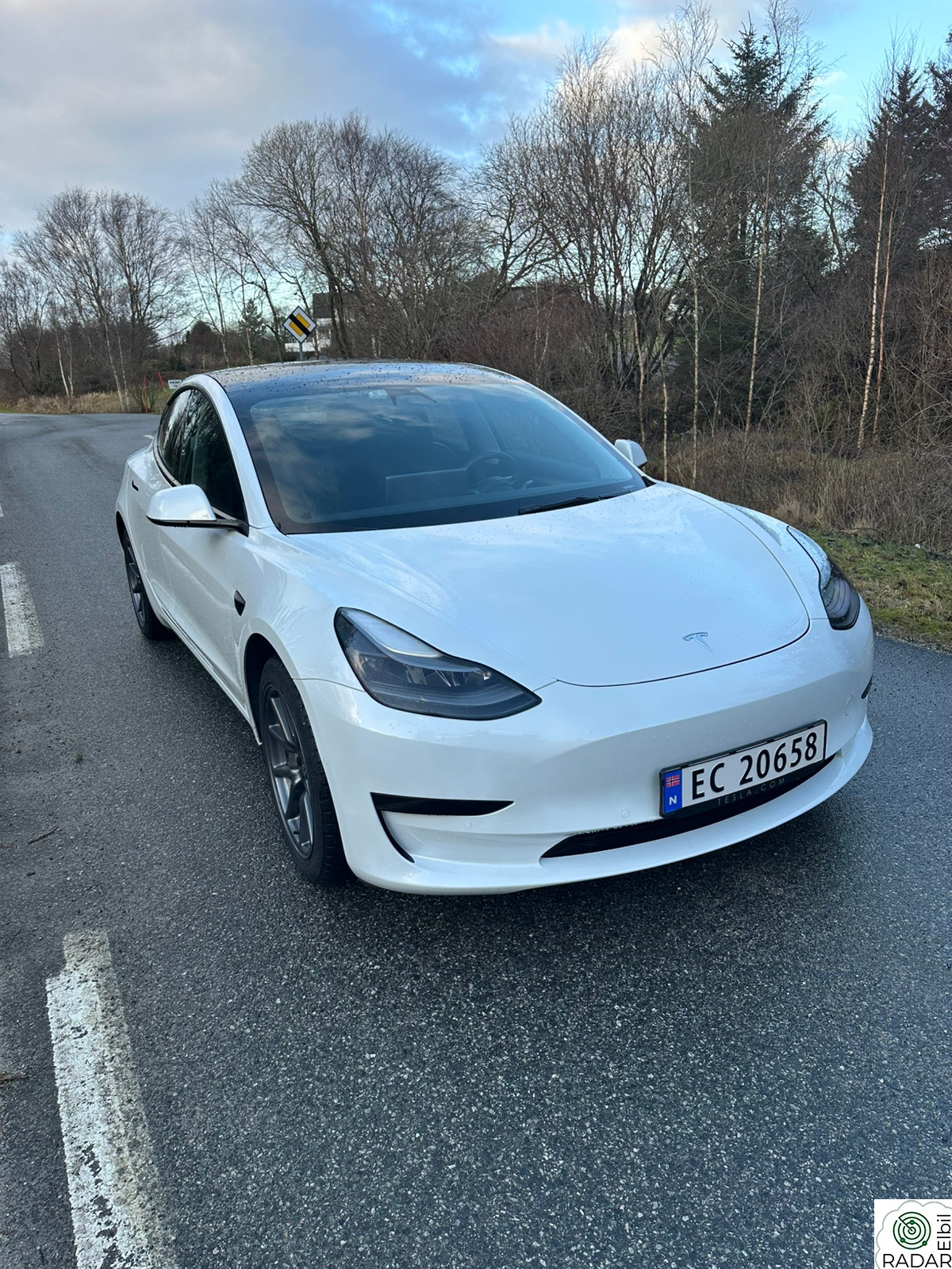 TESLA Model 3 Standard Range Plus RWD