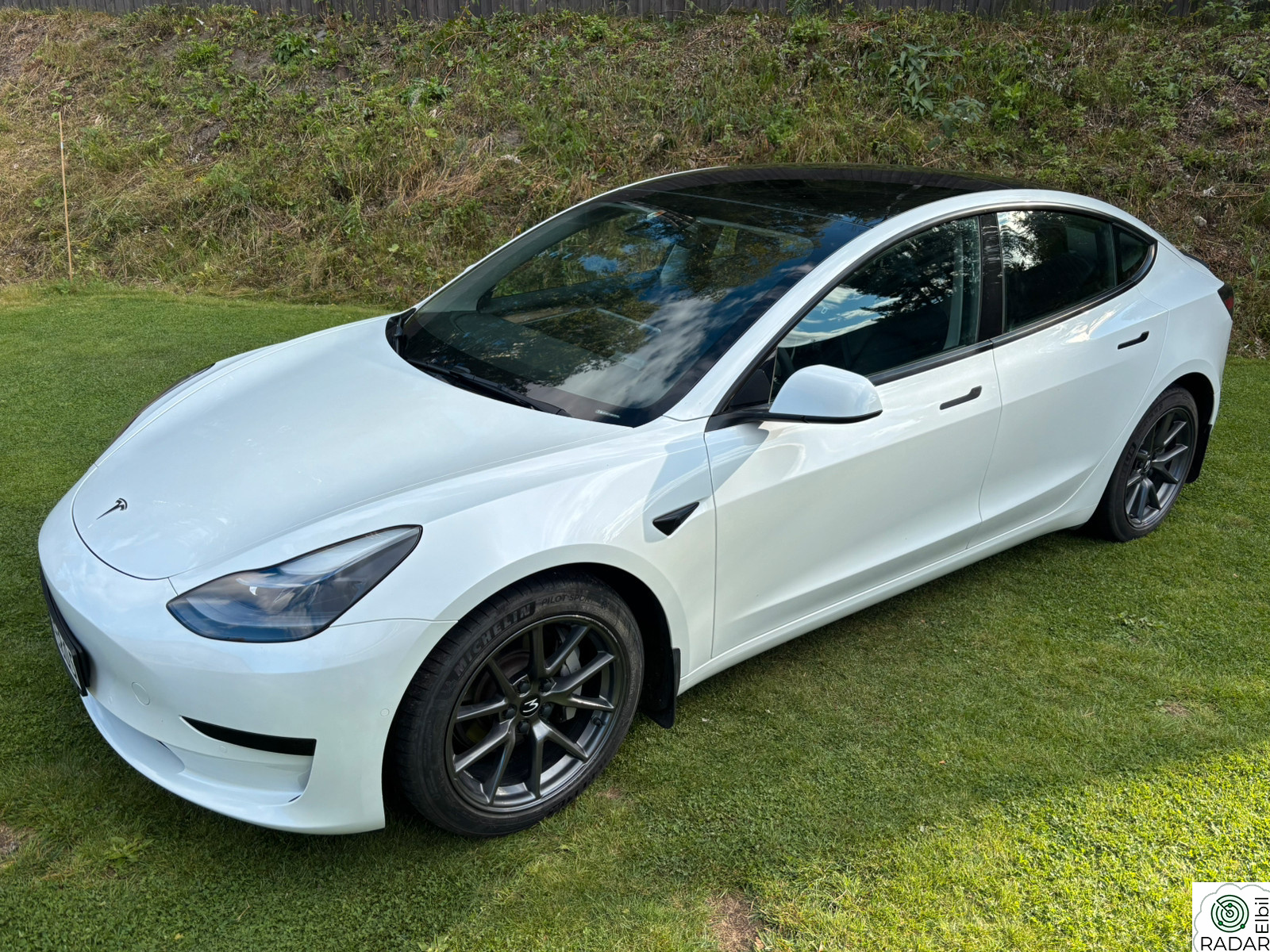 TESLA Model 3 Standard Range Plus RWD