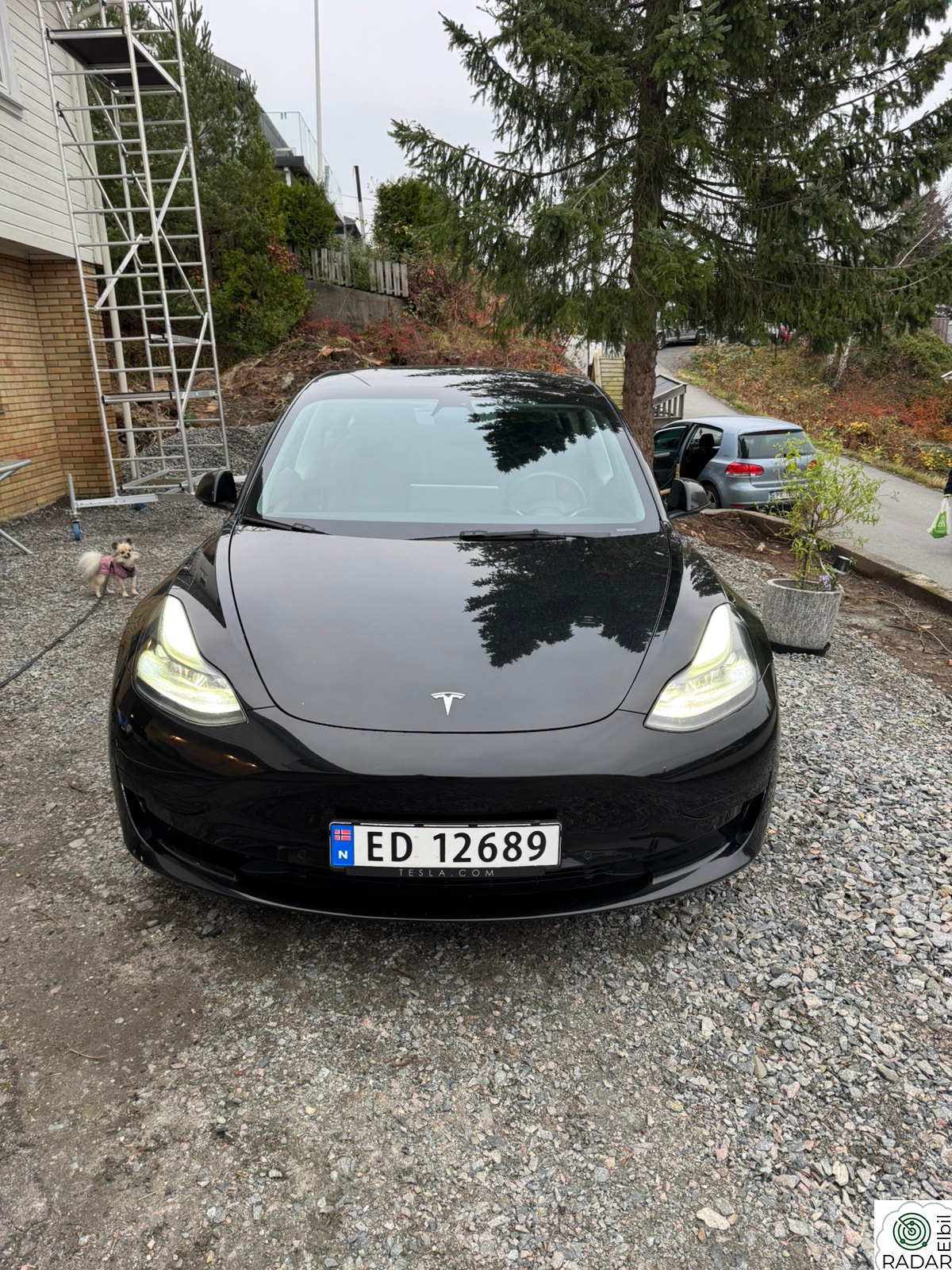 TESLA Model 3 Standard Range Plus RWD