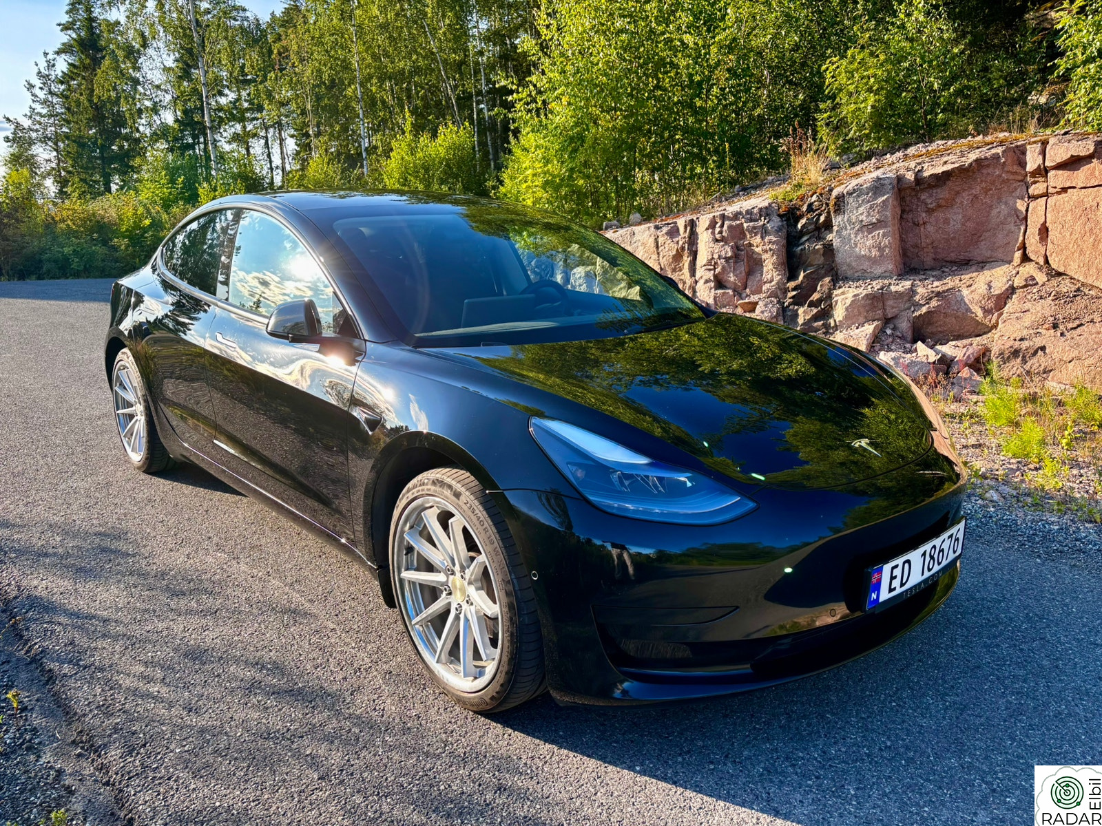 TESLA Model 3 Standard Range Plus RWD