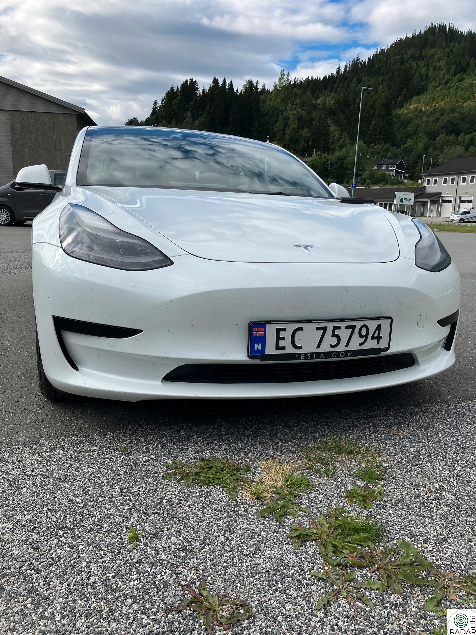 TESLA Model 3 Standard Range Plus (Selges ferdig Eugodkjent)