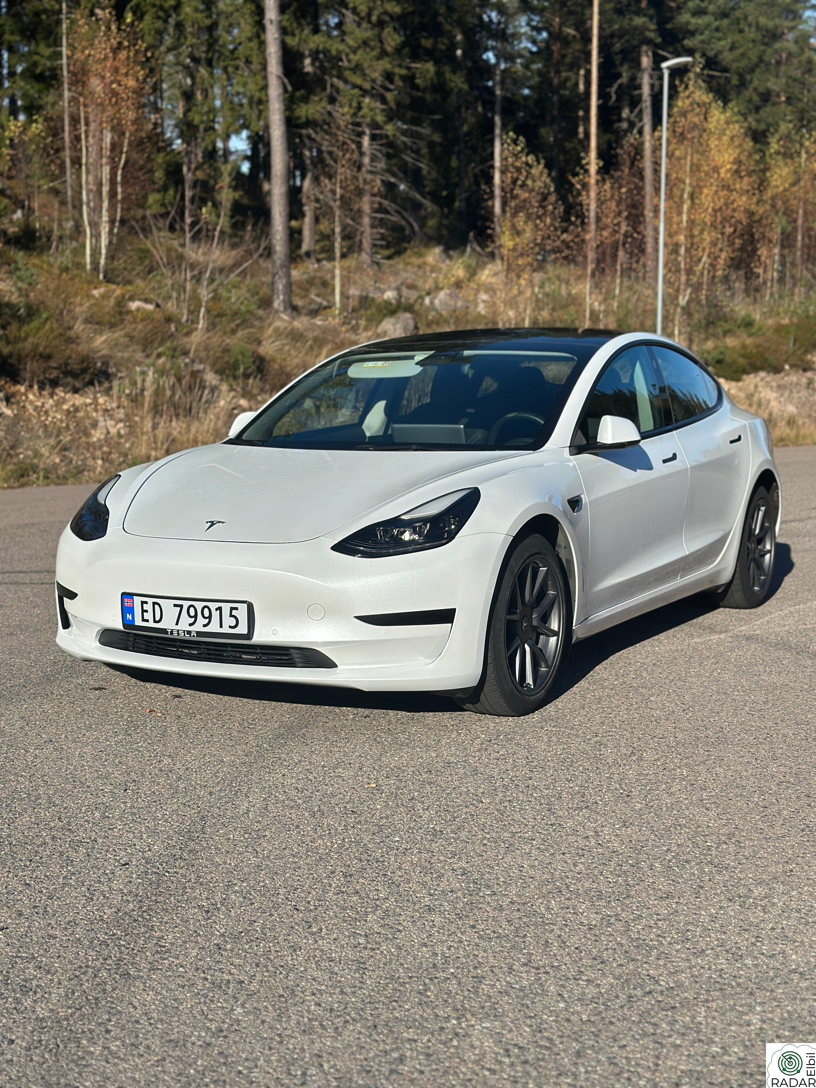 TESLA Model 3 RWD 283hk
