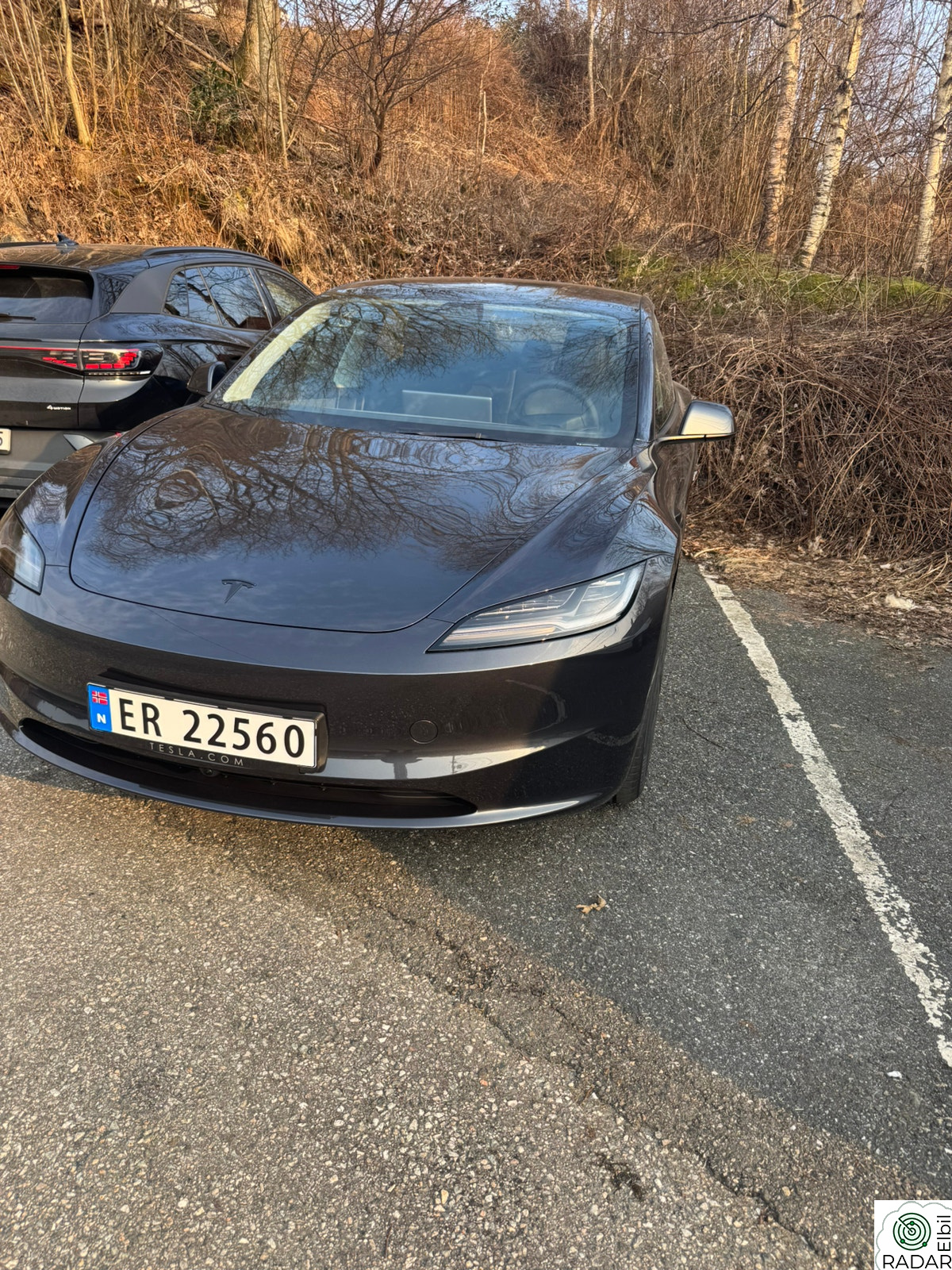 TESLA Model 3 RWD