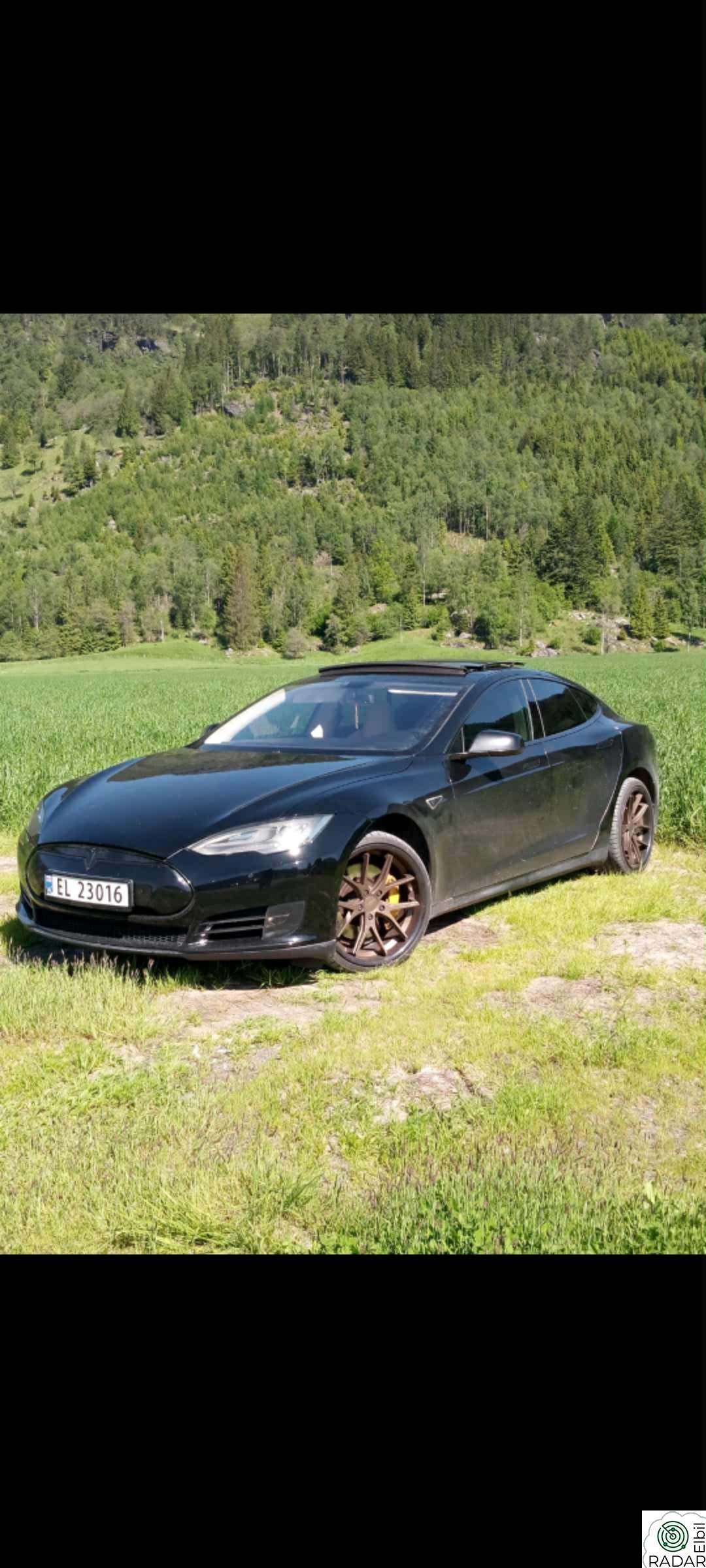 TESLA MOTORS MODEL S Performance