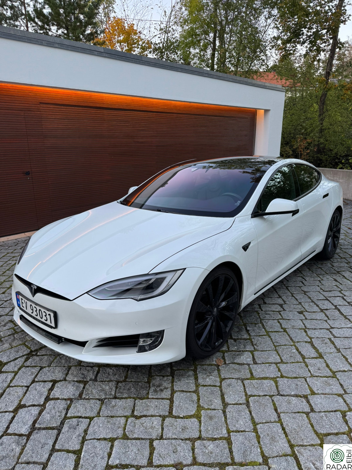 TESLA Model S Long Range Raven