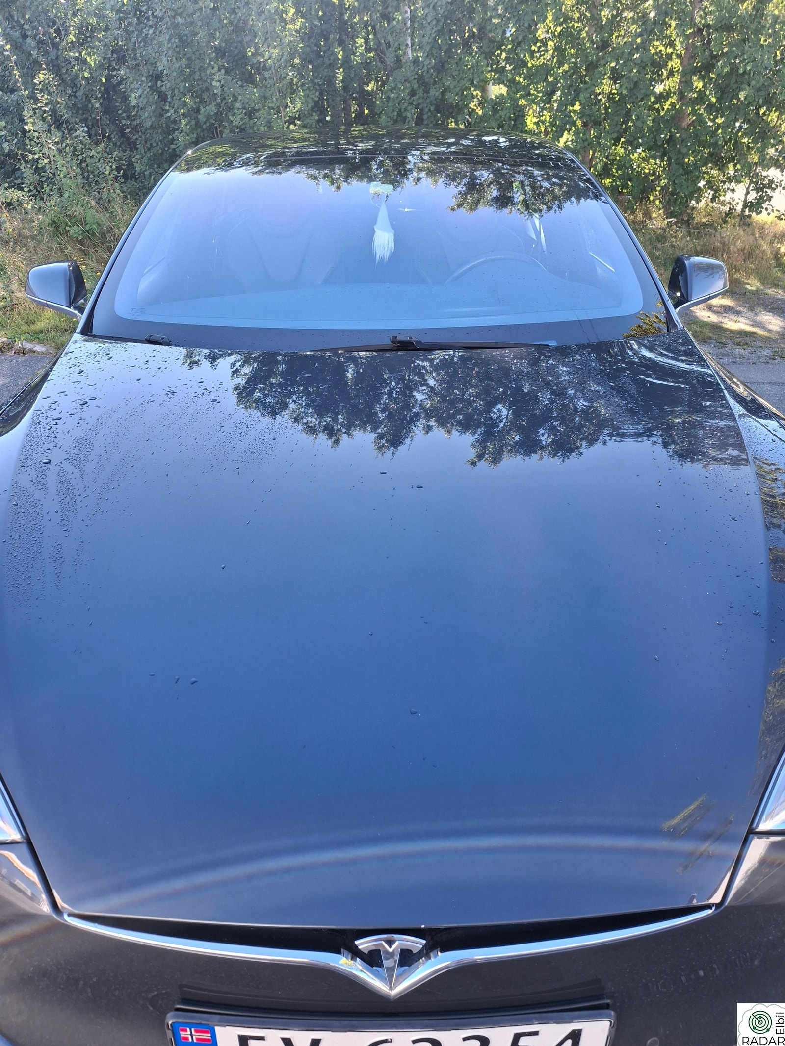TESLA Model S 100D 4WD