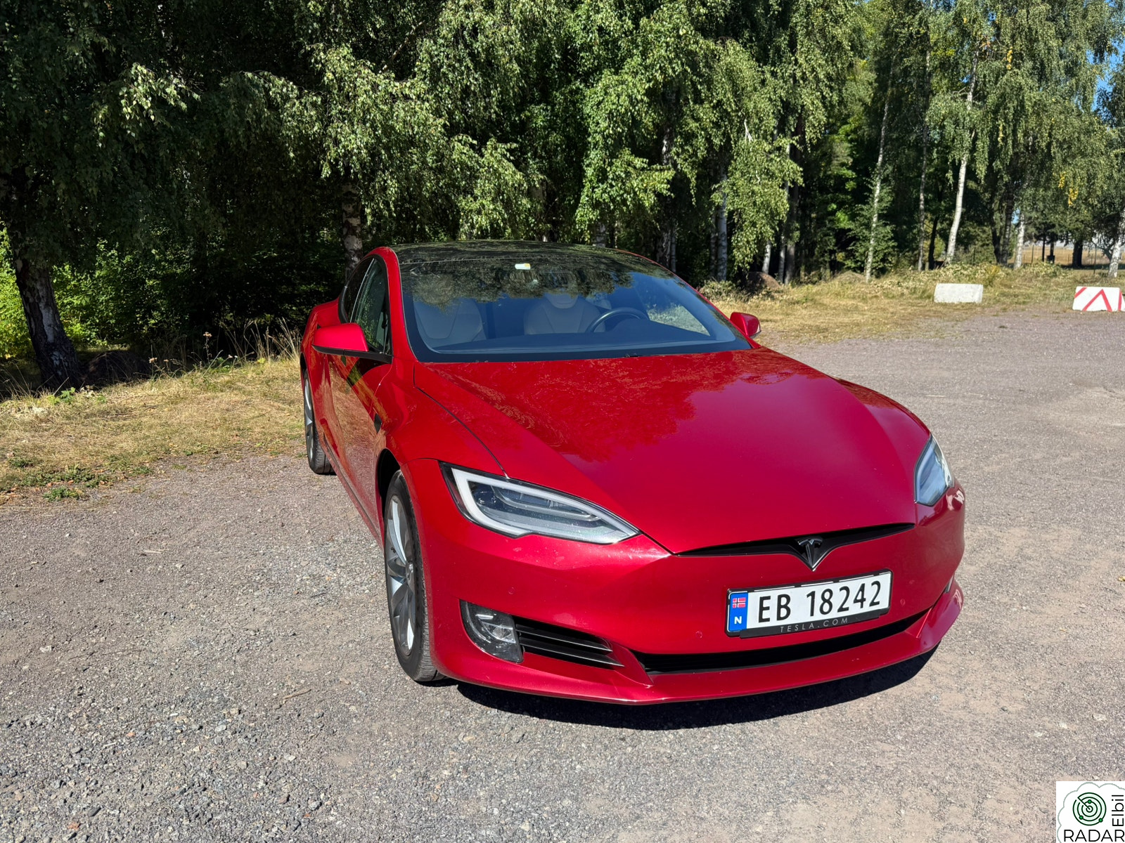 TESLA Model S Long Range Raven