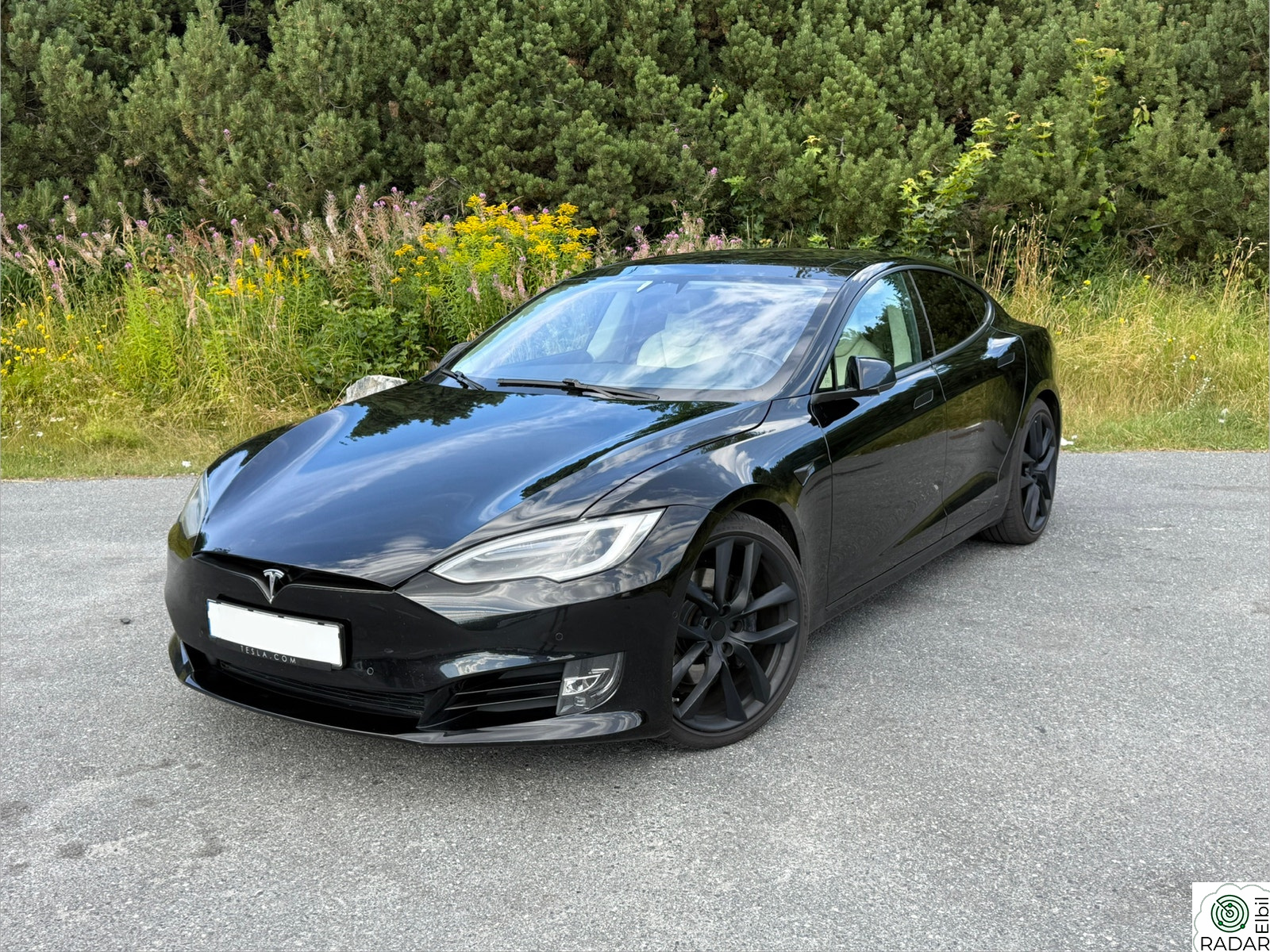 TESLA Model S 100D 4WD - Chrome Delete - Påkostet!