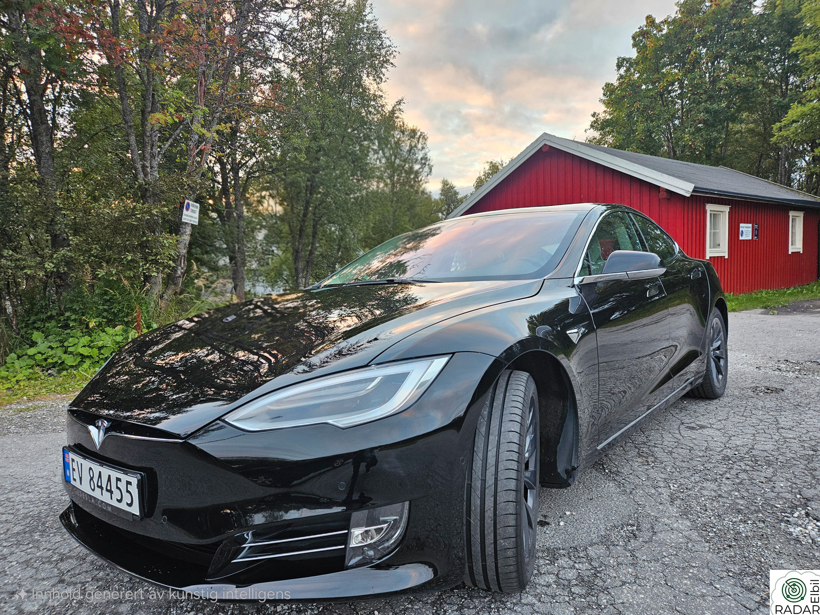 TESLA Model S 100D 4WD