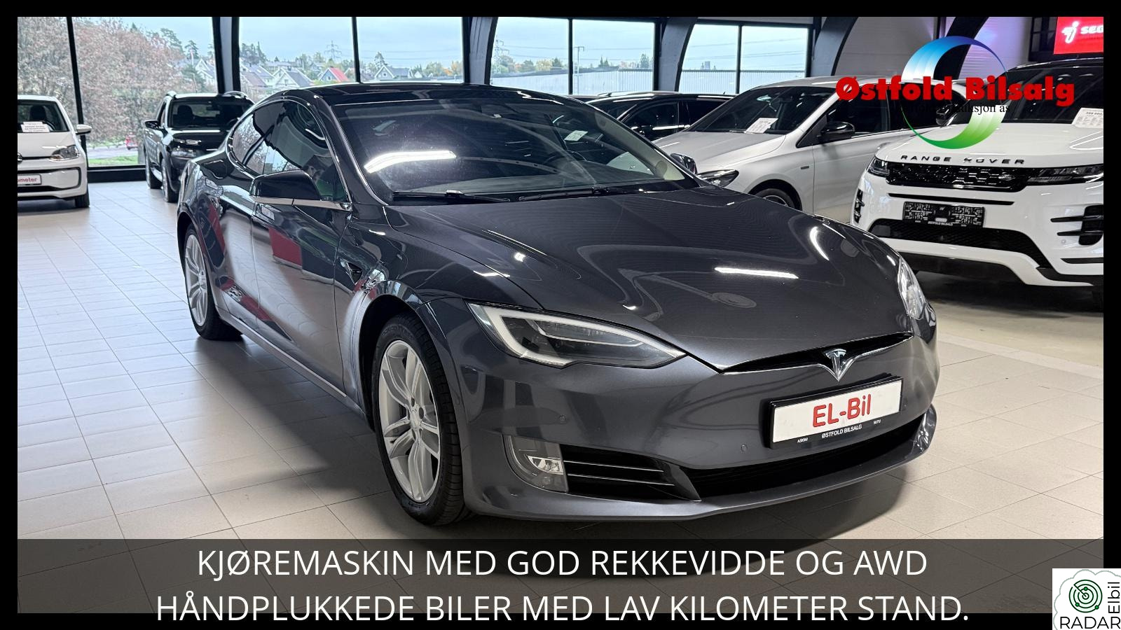 TESLA MOTORS Model S 100D AWD LONG RANGE PANORAMA SKINN KAMERA CCS