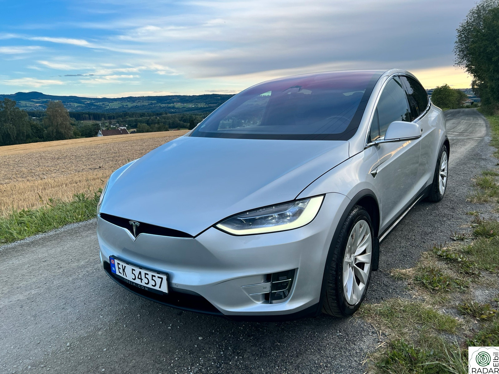 TESLA Model X 75D 4WD 7-s