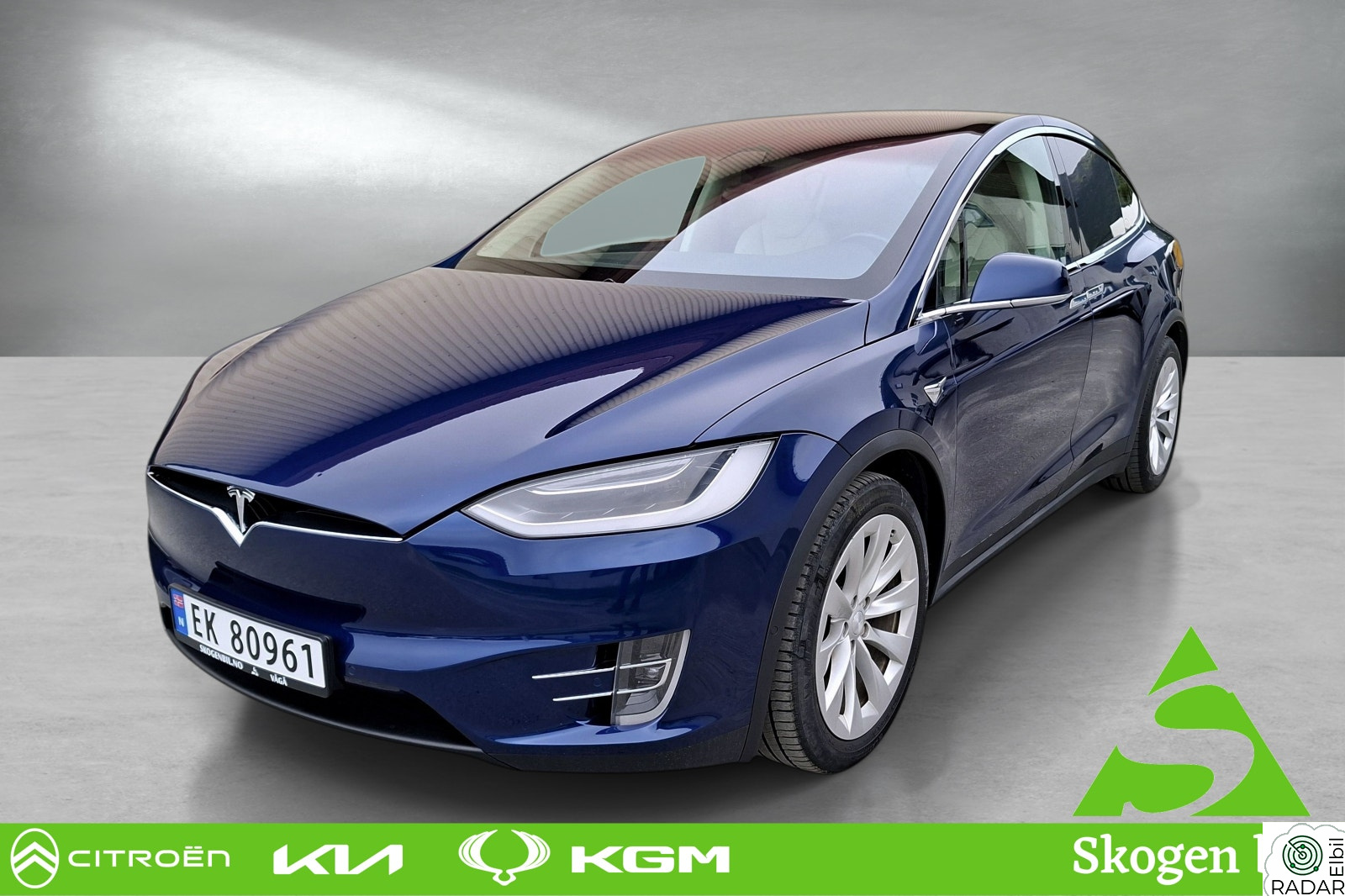 TESLA Model X 75D 4WD 7-s