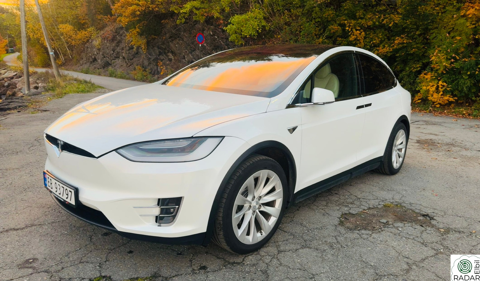 TESLA Model X Long Range RAVEN / AP3 -Ultra HiFi, Vinter, Krok, CCS++
