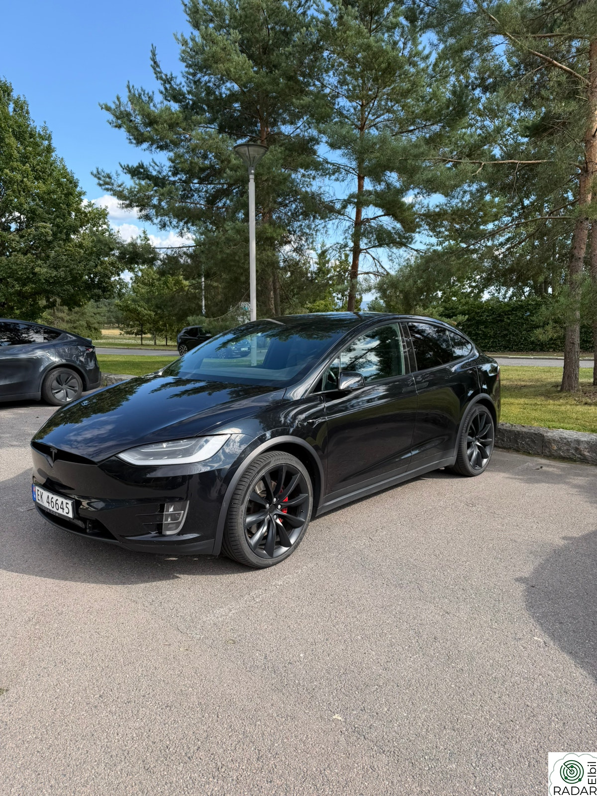 TESLA MOTORS Model X 100D 4WD 6-s
