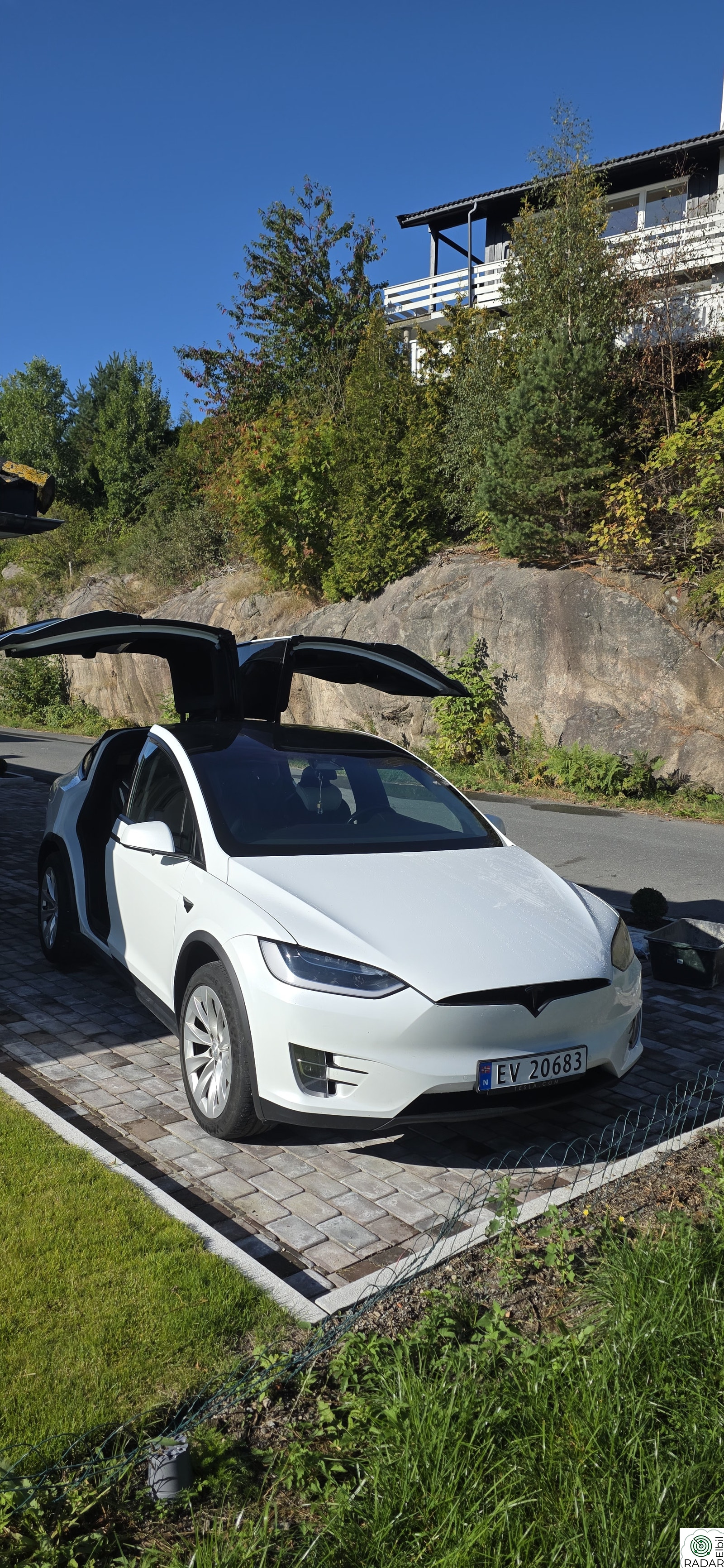 TESLA Model X 100D 4WD 6-s
